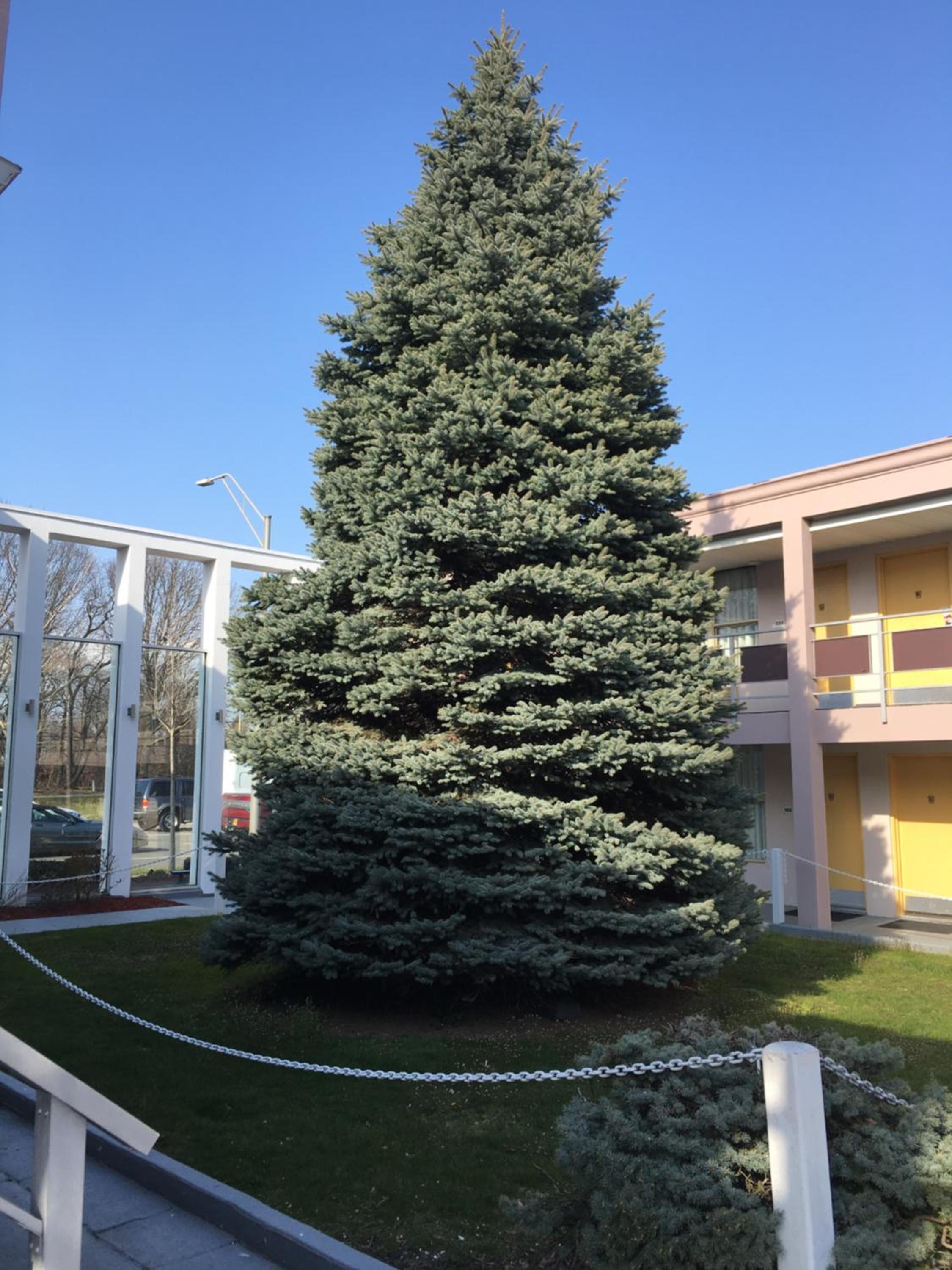 Photo 28