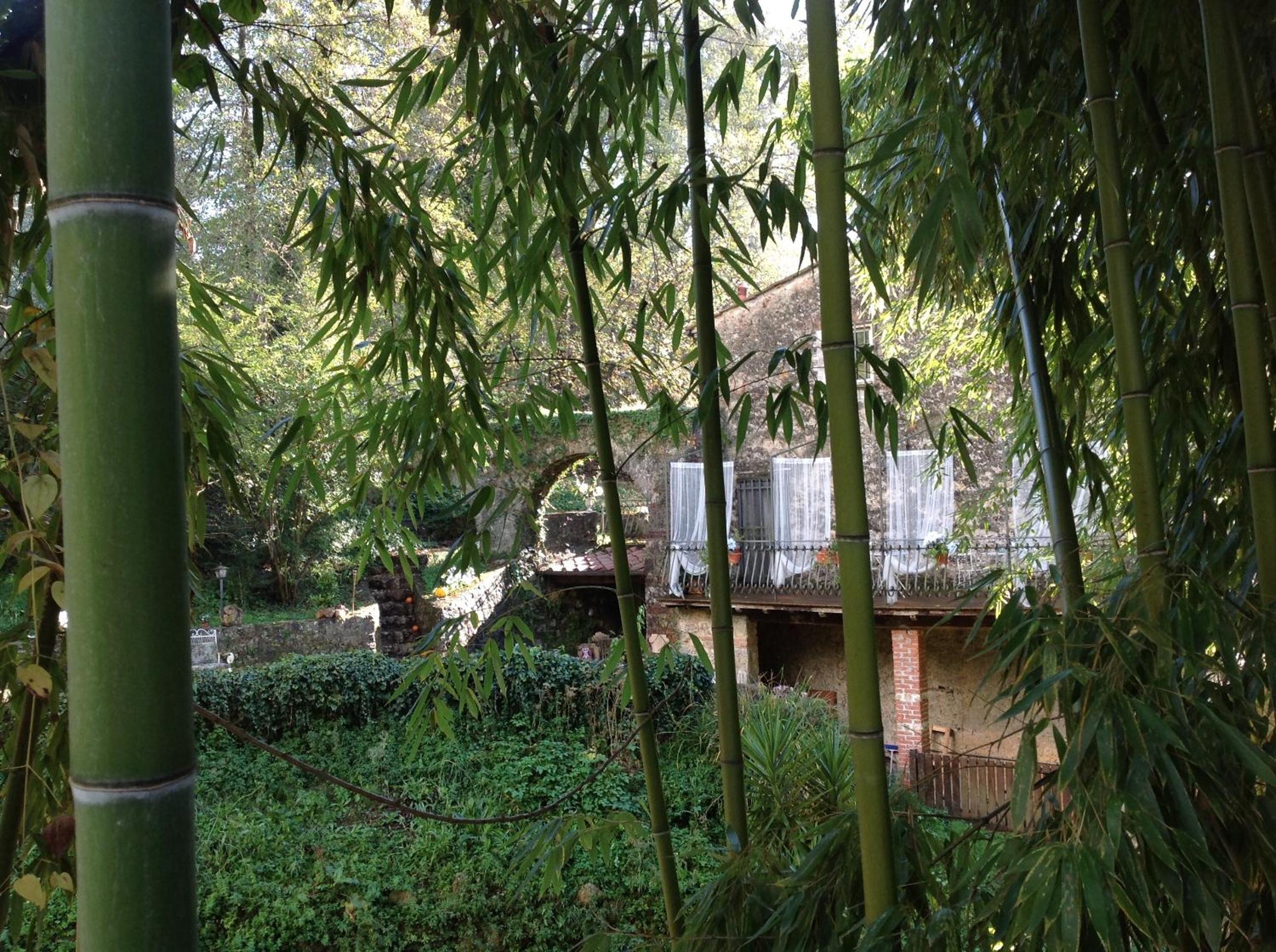 Guest House Antico Frantoio Pietrasanta Affittacamere