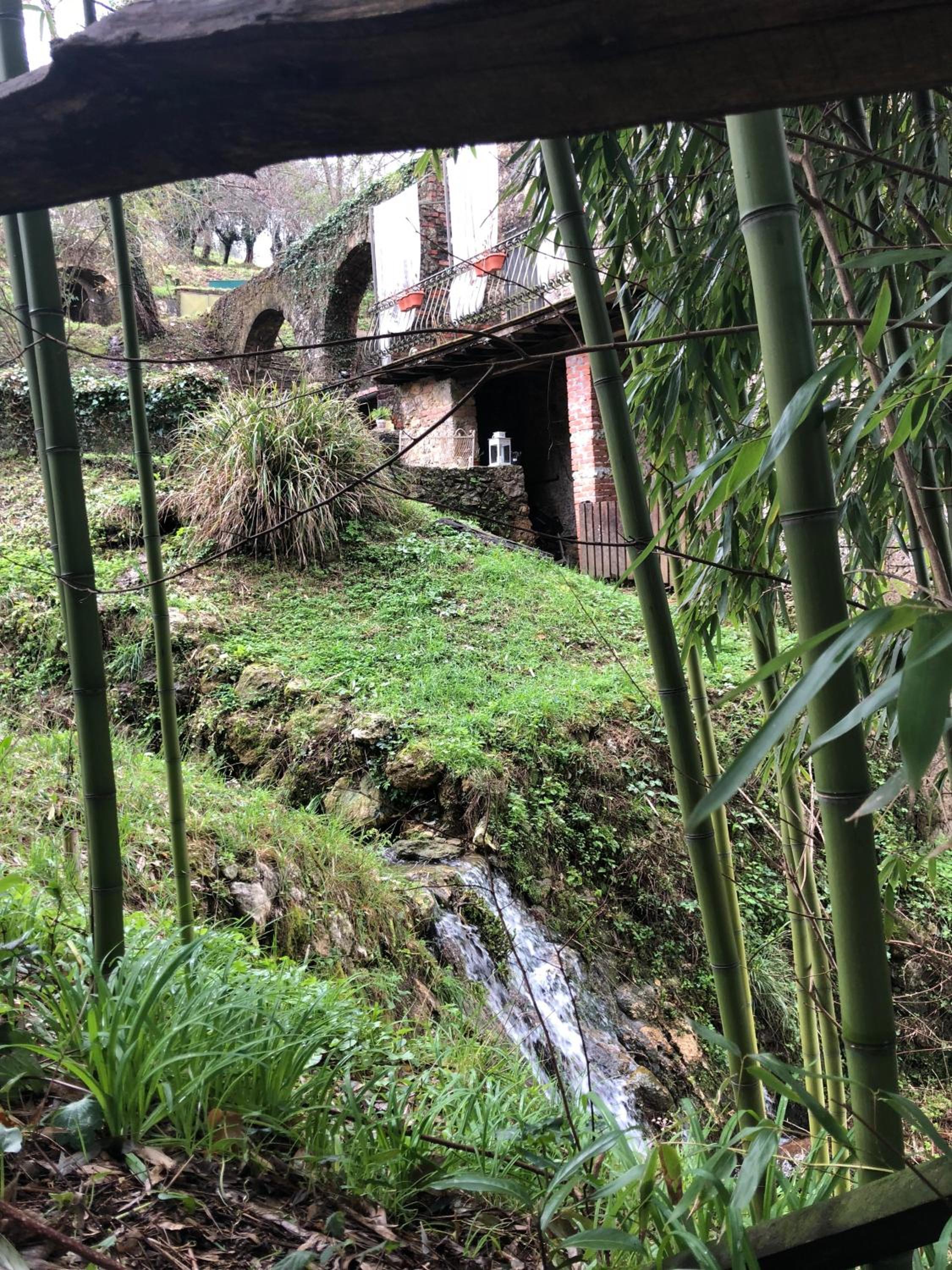 Guest House Antico Frantoio Pietrasanta Affittacamere