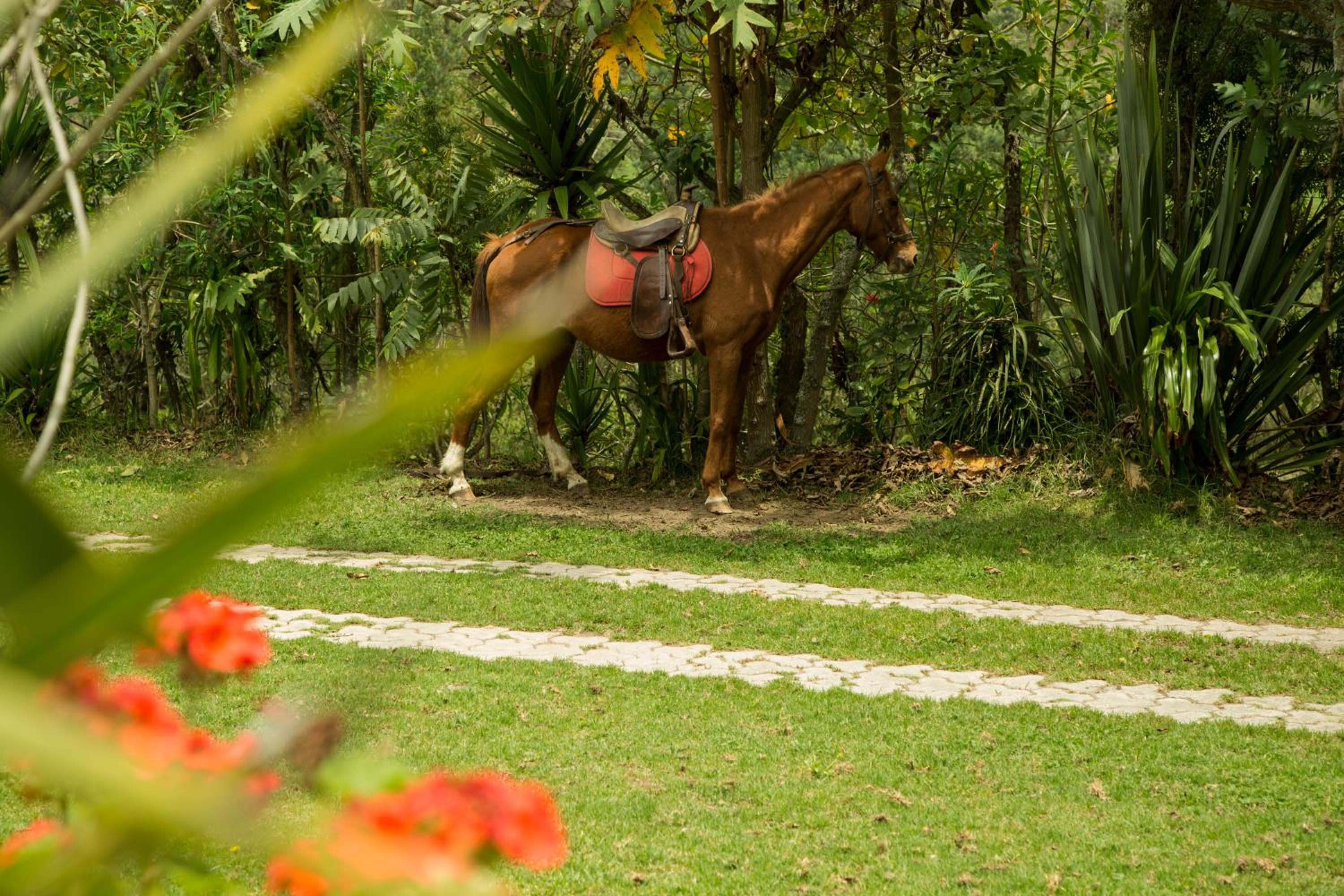 Estancia De La Campiña