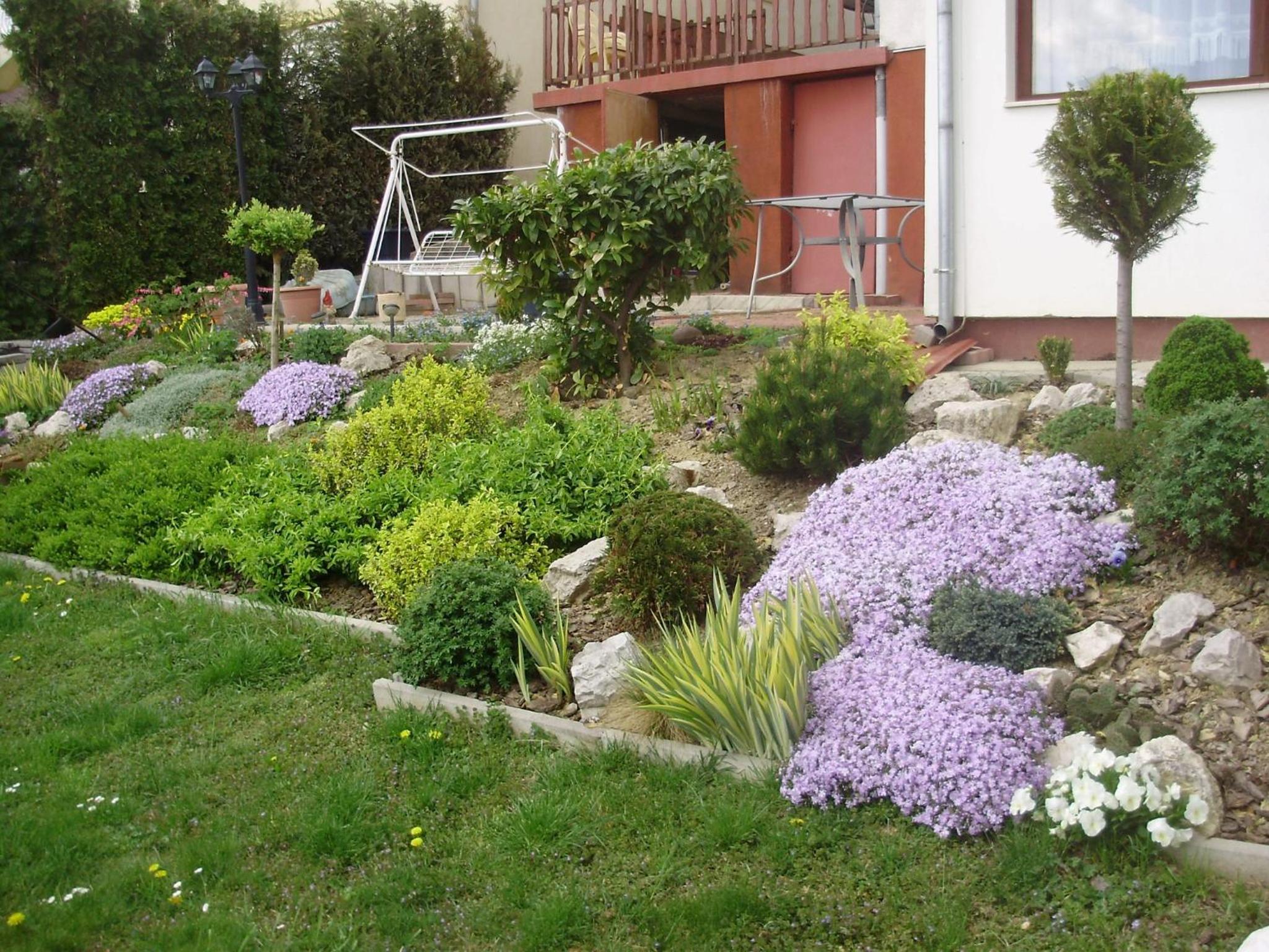 Photo 6