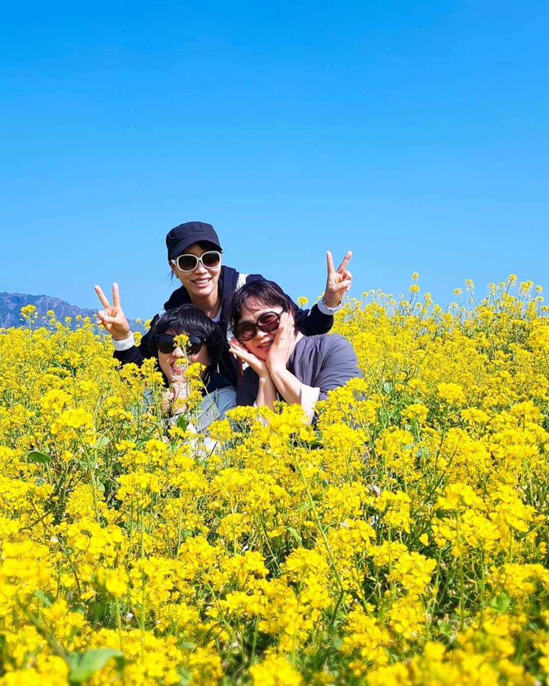 푸른제주 펜션