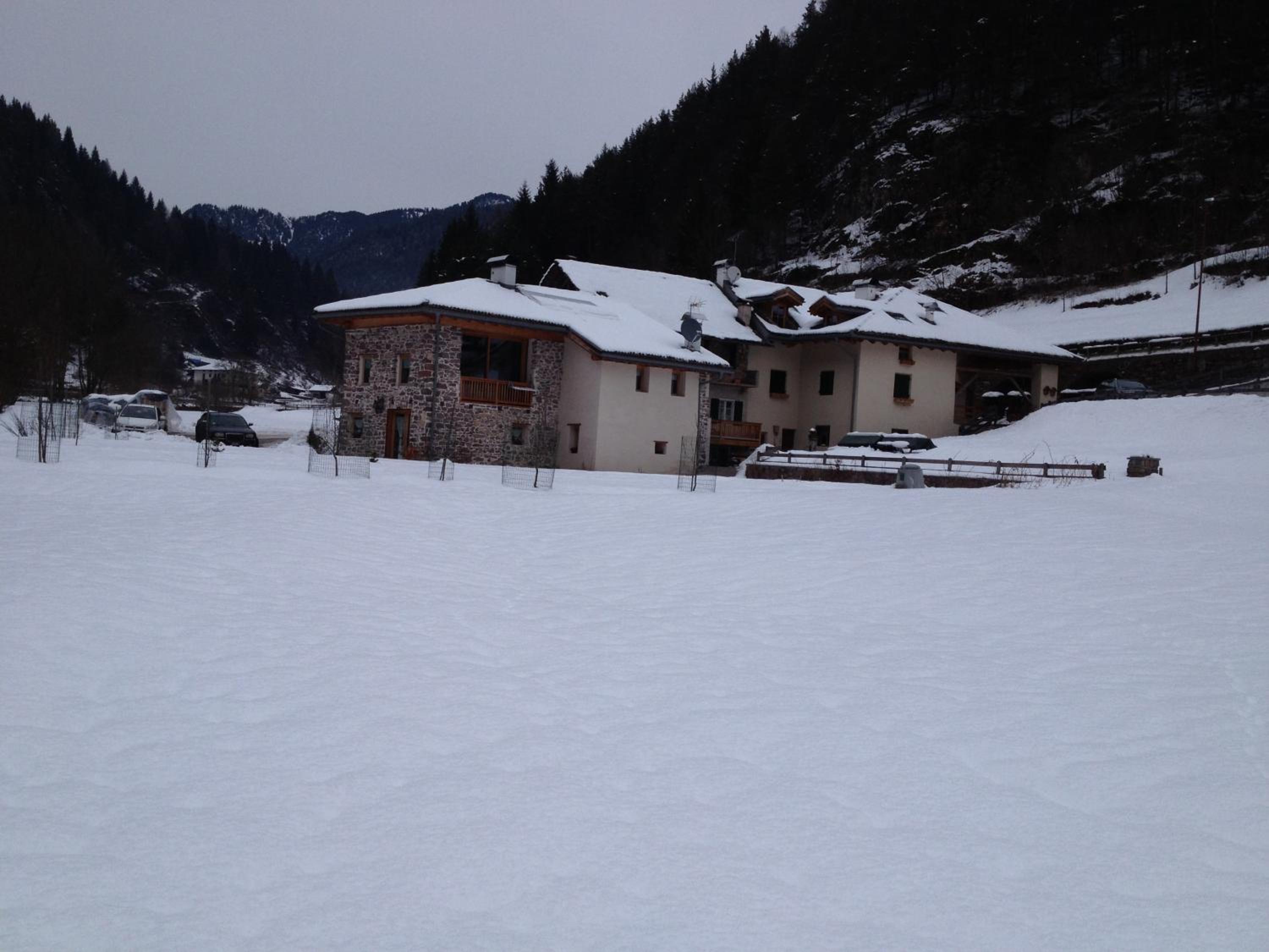 Maso Toneto