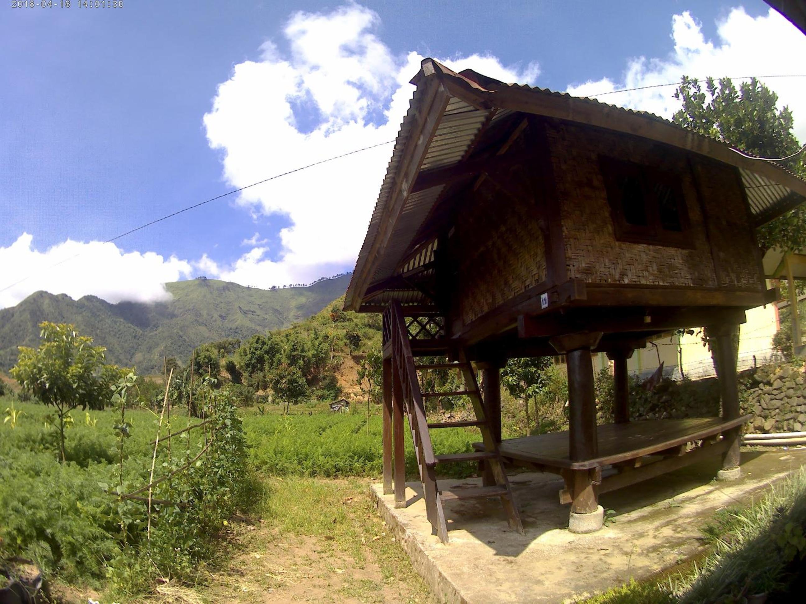 Photo 42