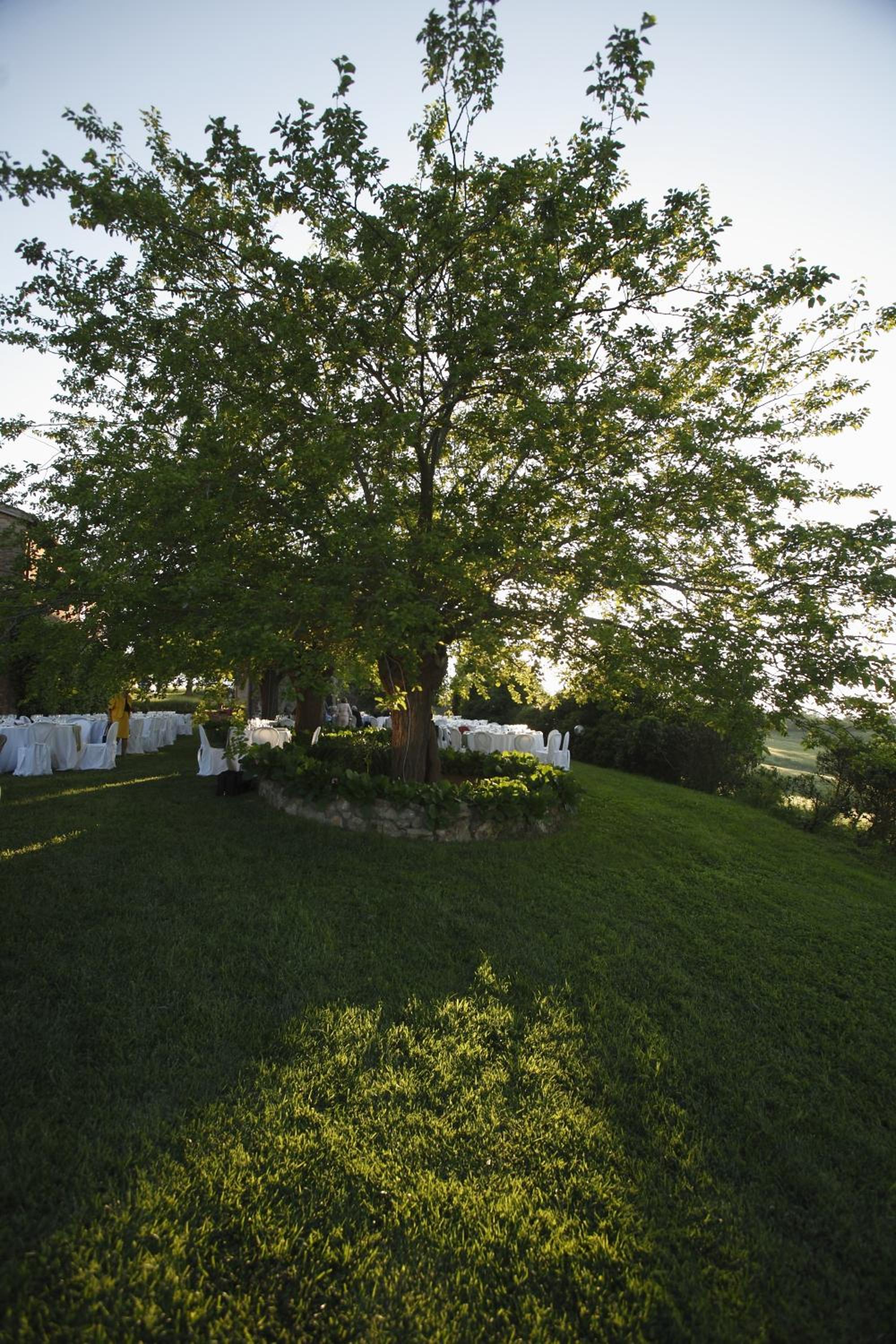Podere Cartaio Bio Farm, private pool, AirC