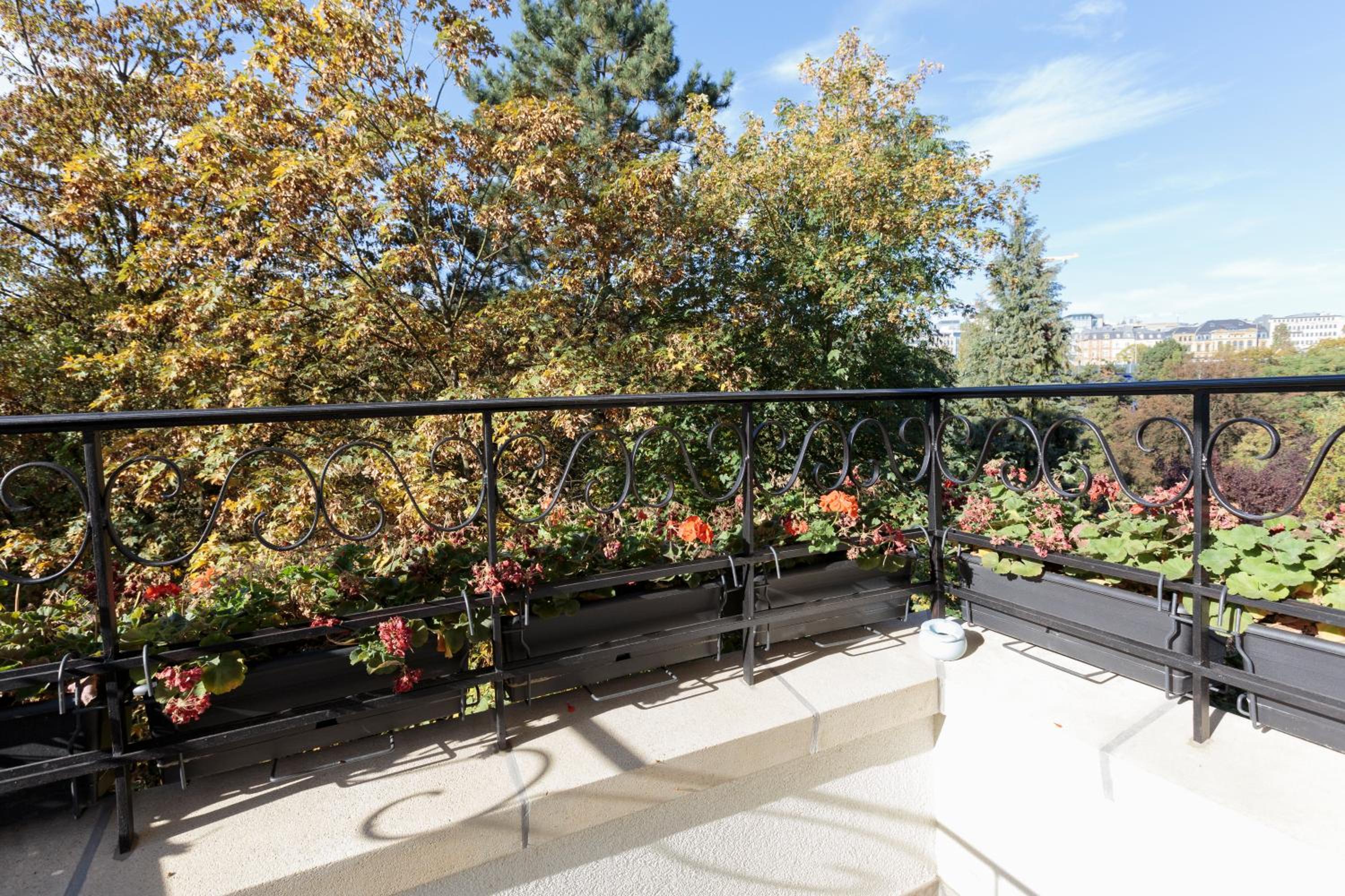 The Queen Luxury Apartments - Villa Vinicia