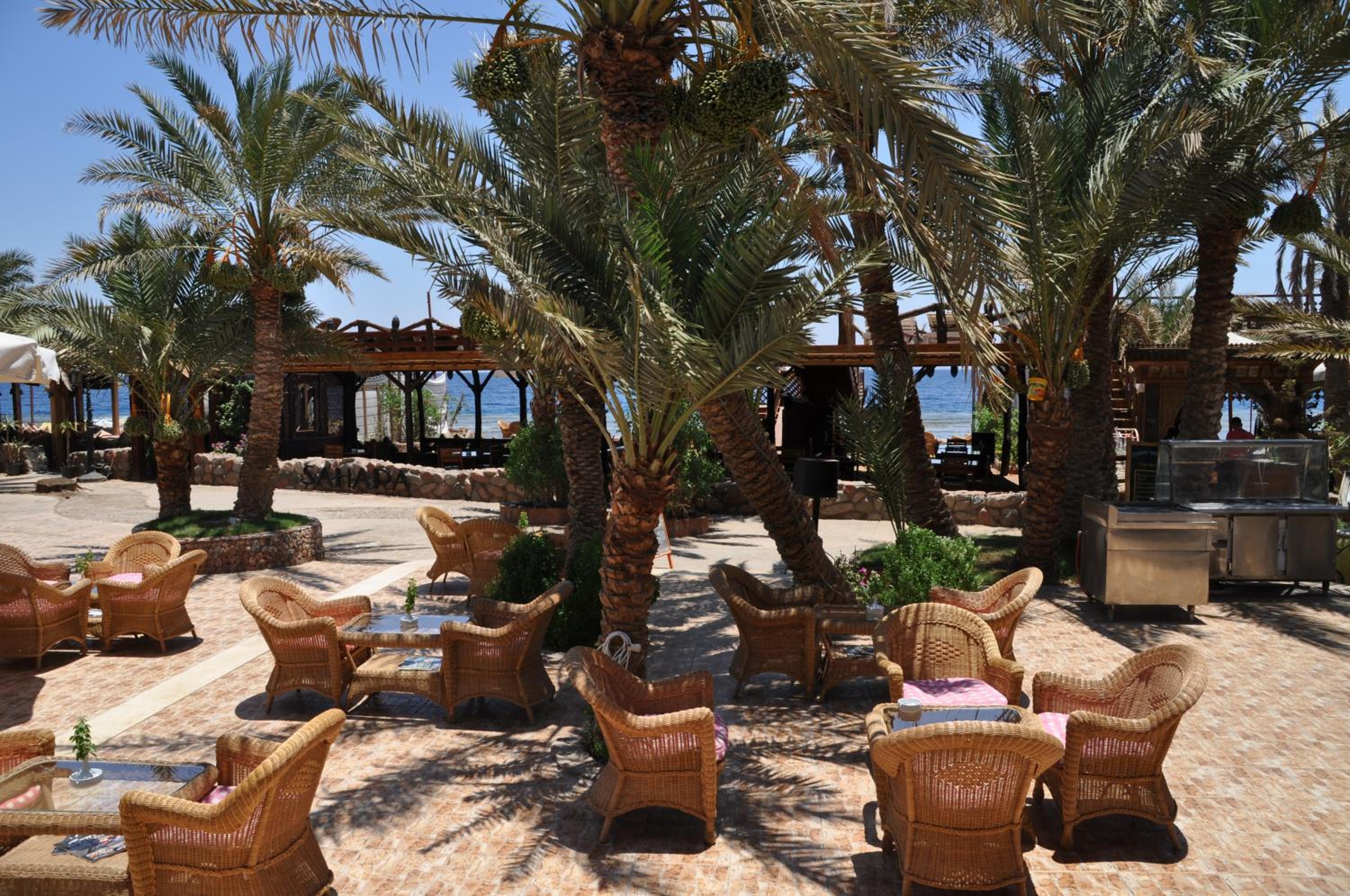 Acacia Dahab Hotel