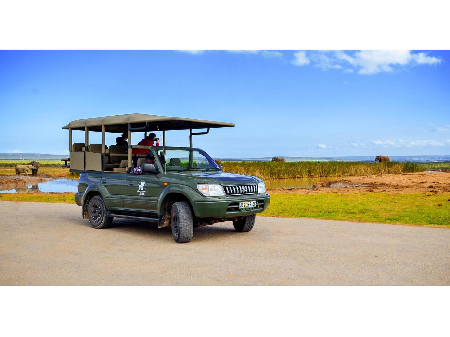 River Rooms - Chilled and Relaxed - Colchester - 5km from Elephant Park view 3