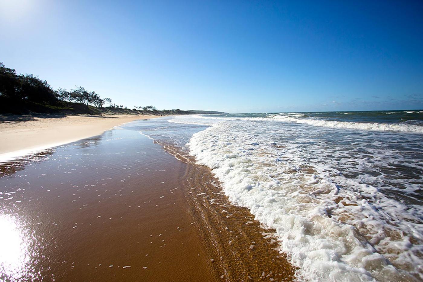 Yellow Cottage - bush and beach