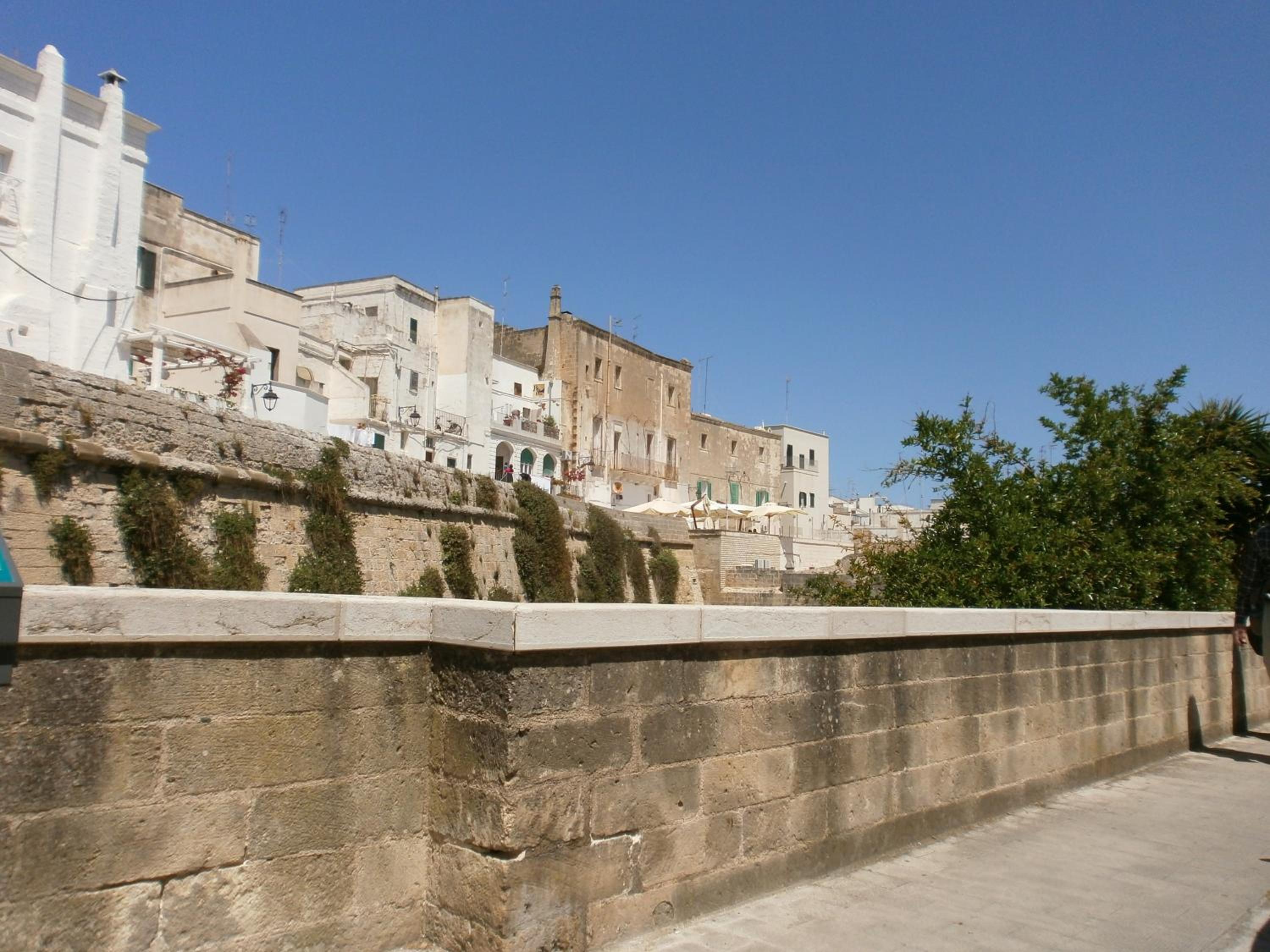 Photo 45