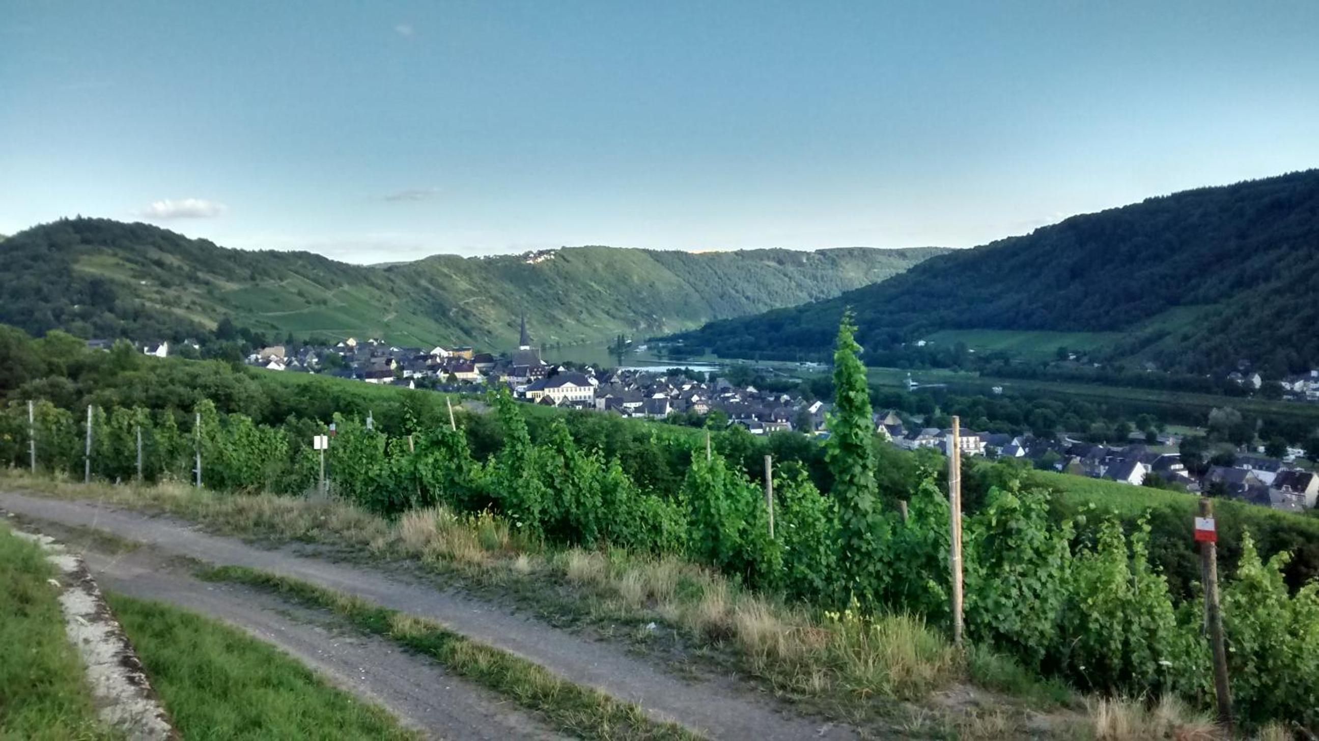Weingut Sauer-Kettermann