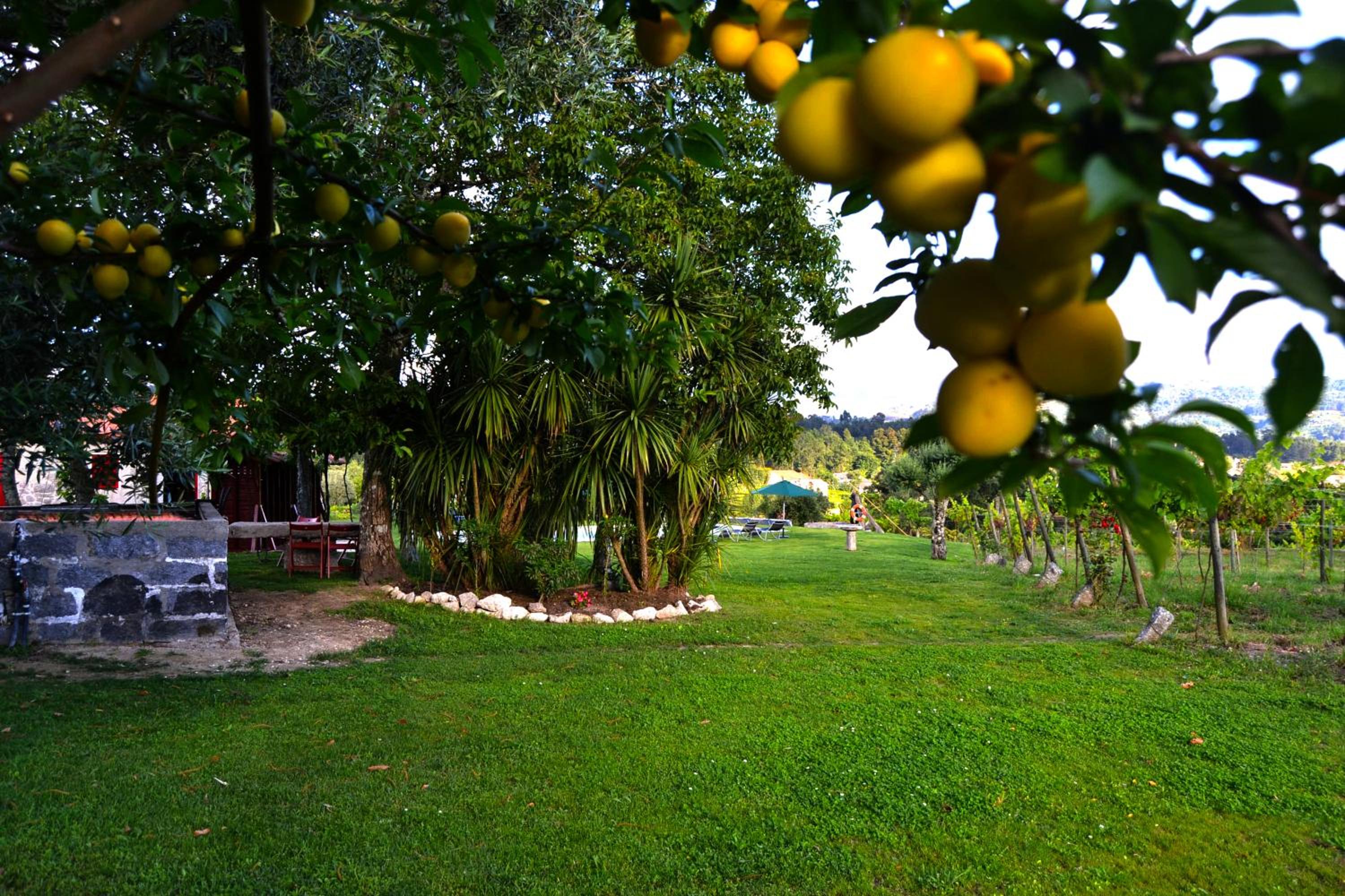 Quinta do Olival