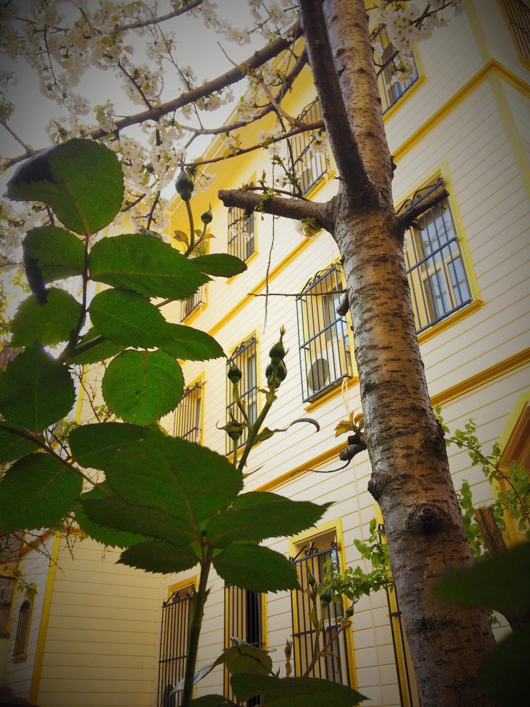 Ottoman's Pearl Otel - Image 54