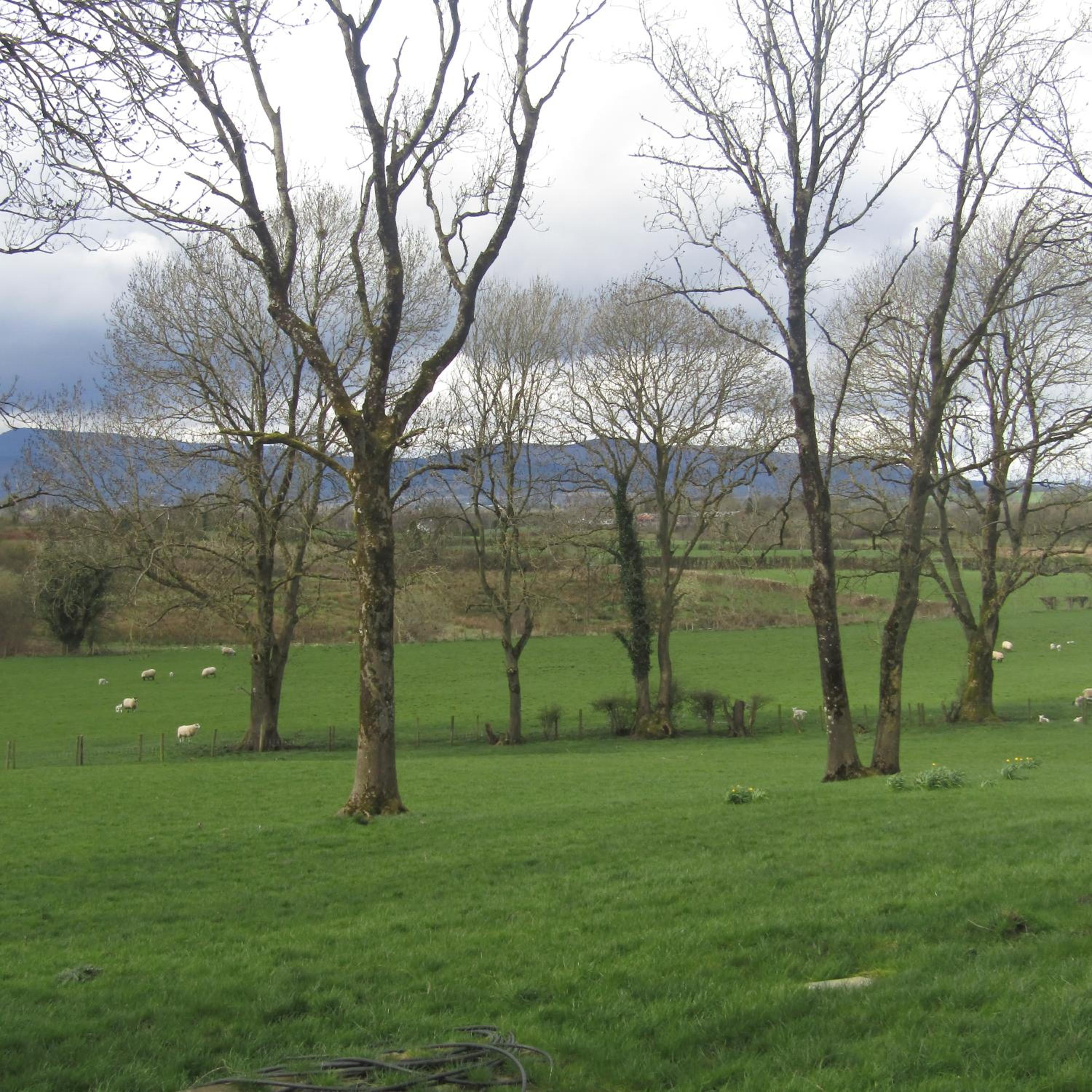 Photo 47