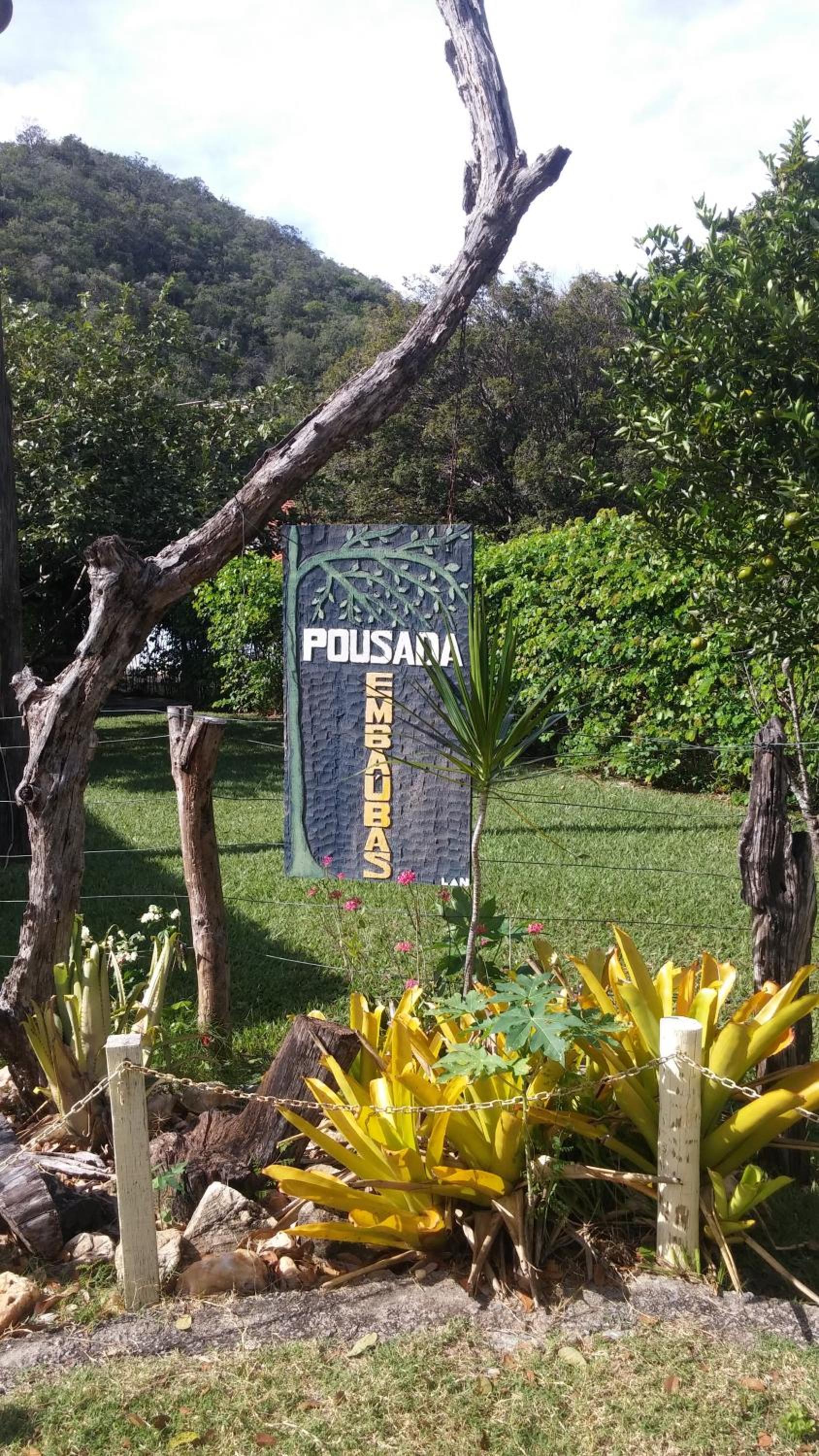 Photo 8