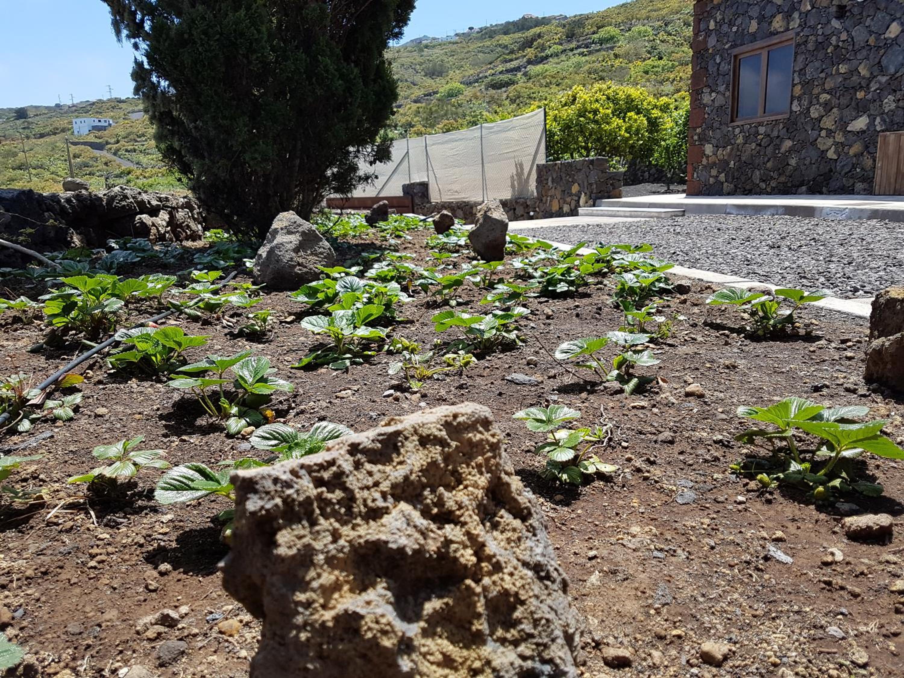 Finca La Sabina view 2