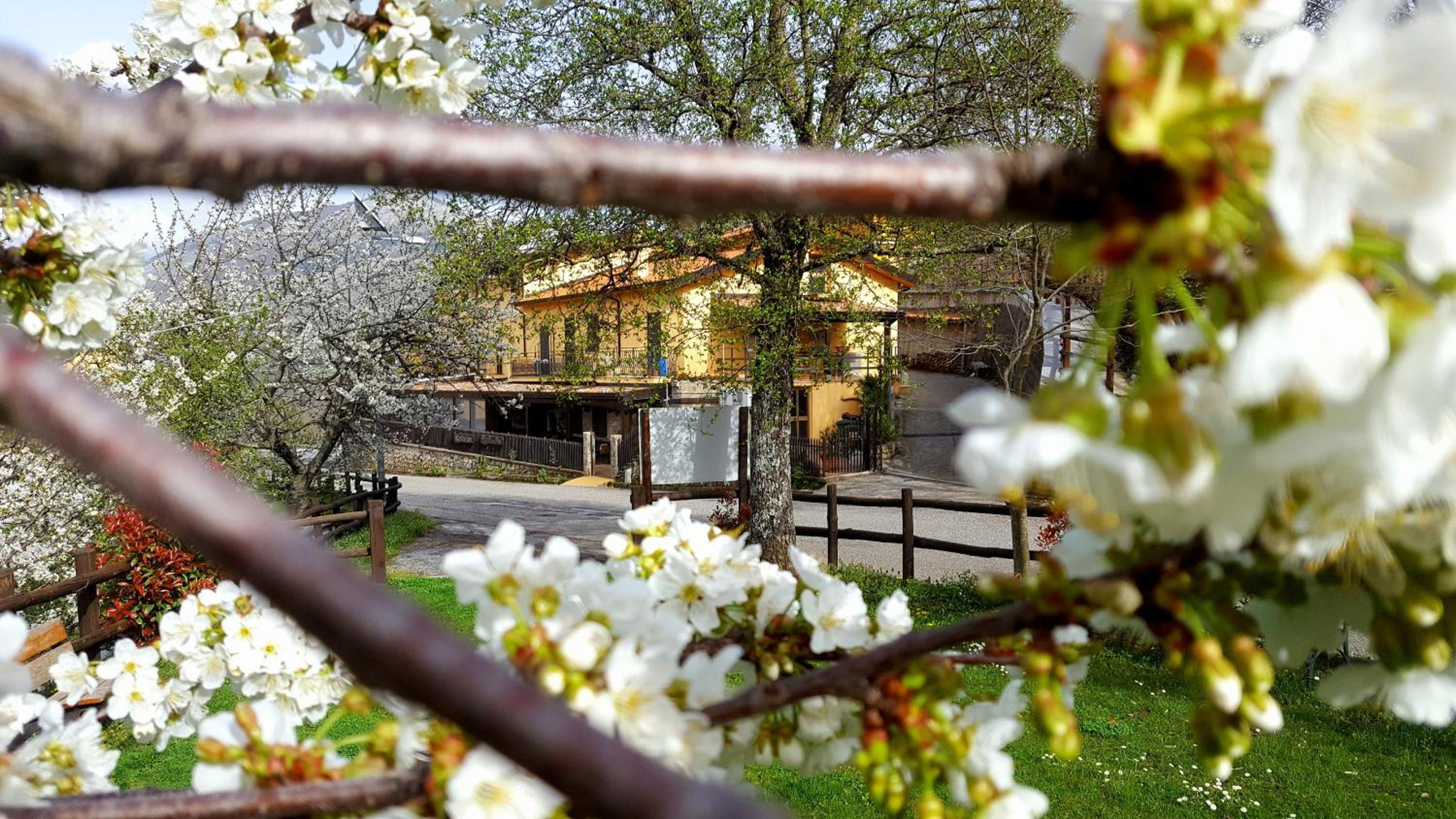 Agriturismo Aria Fina