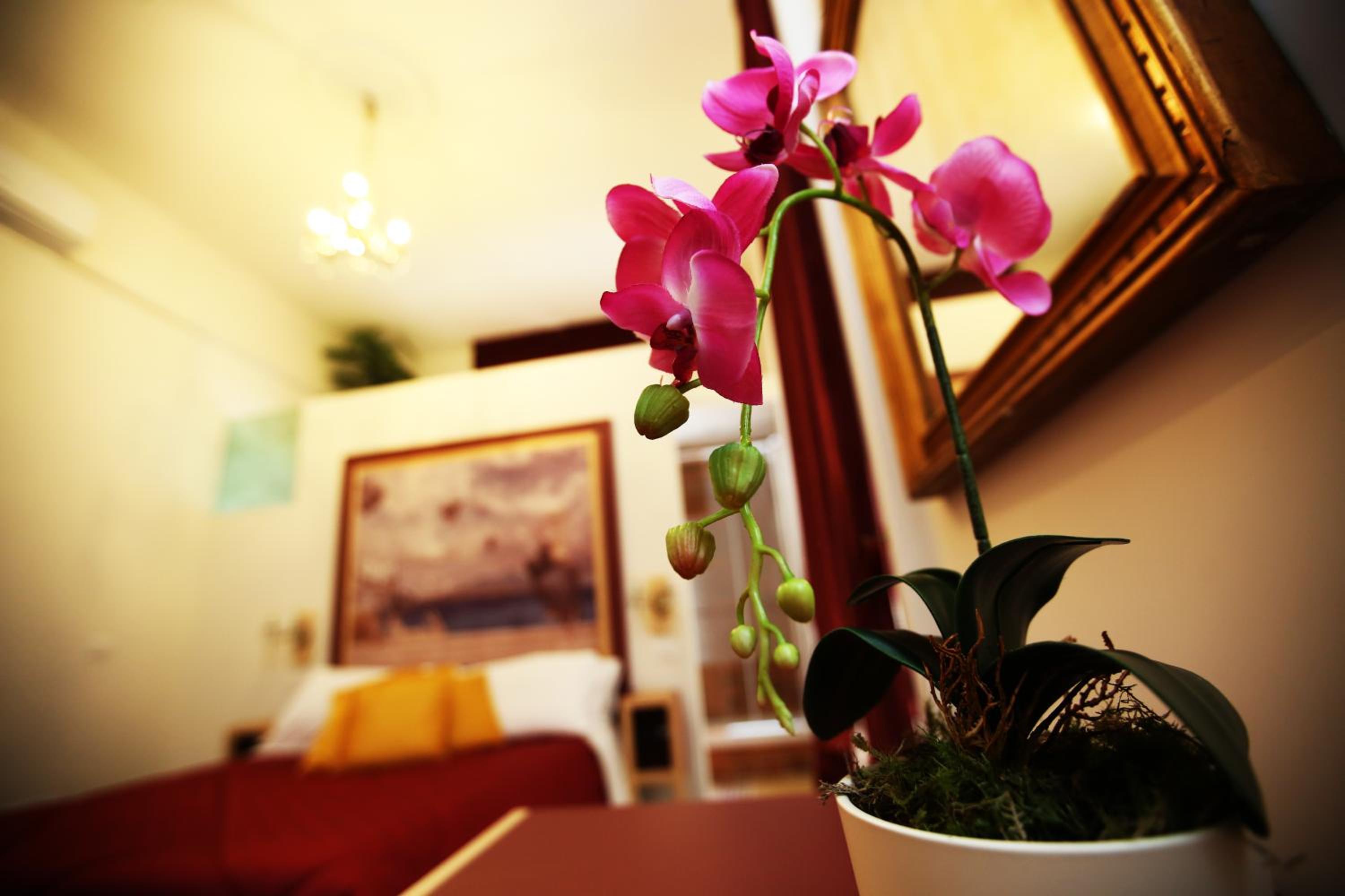 La Bella Napoli B&B