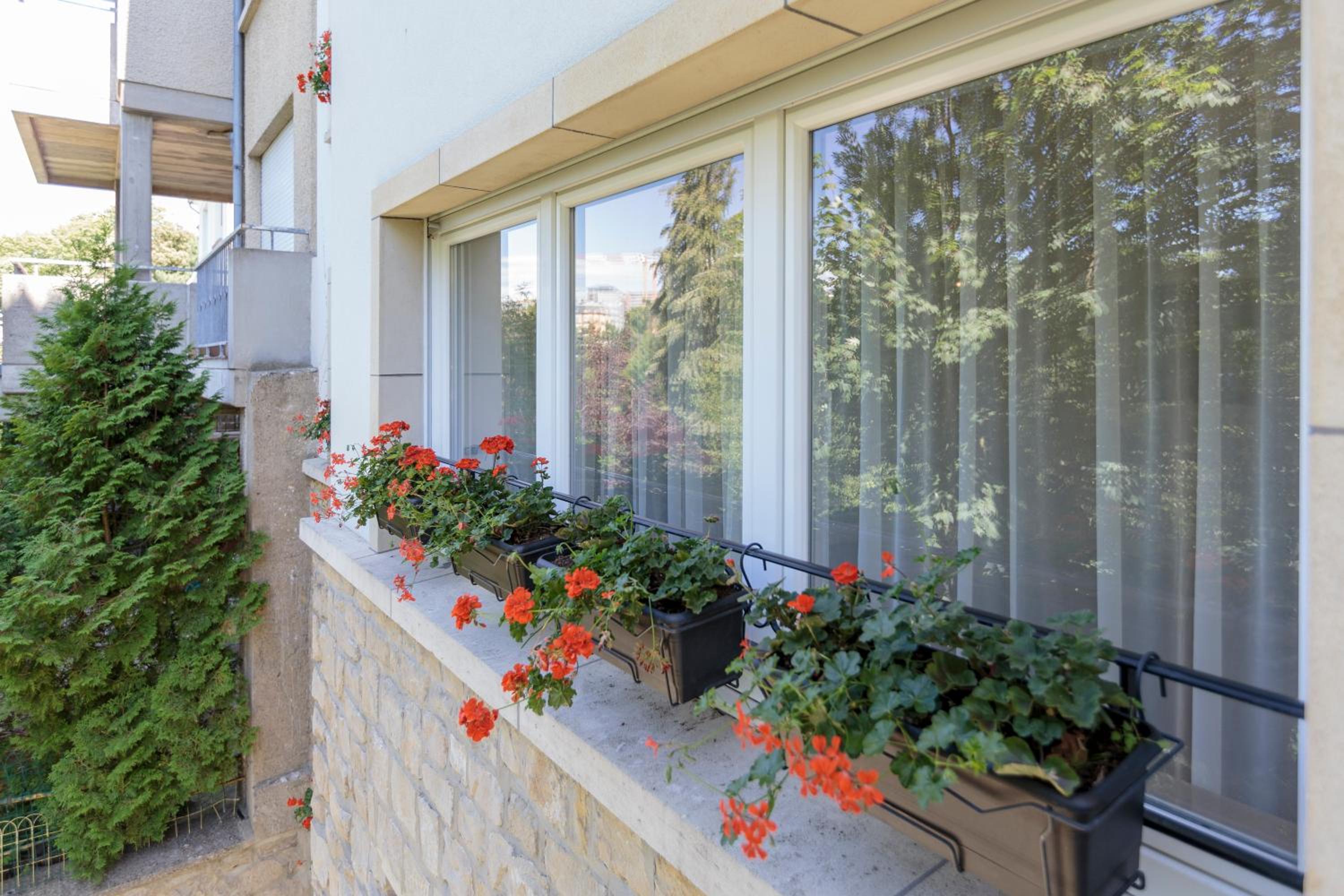 The Queen Luxury Apartments - Villa Vinicia