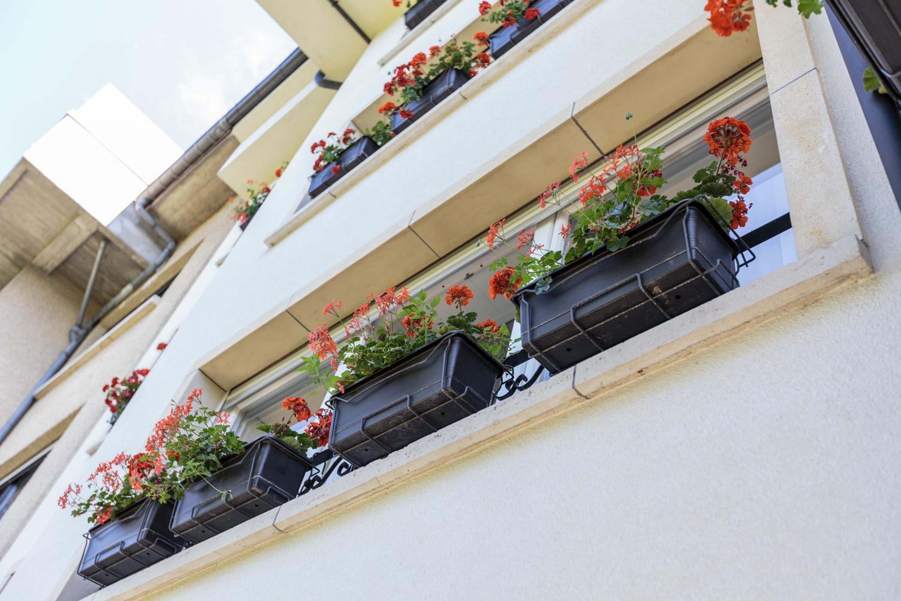 The Queen Luxury Apartments - Villa Vinicia