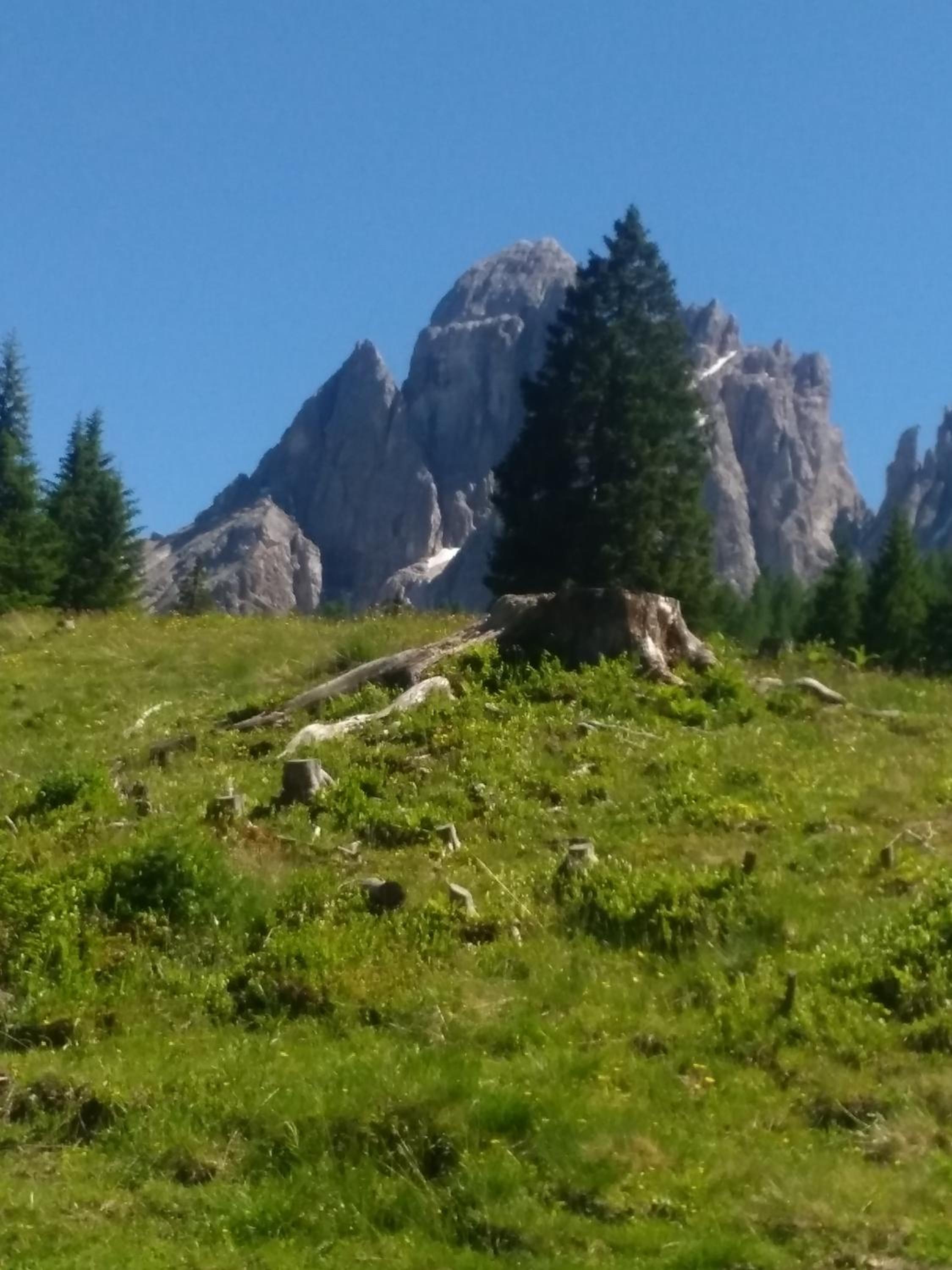 Photo 35