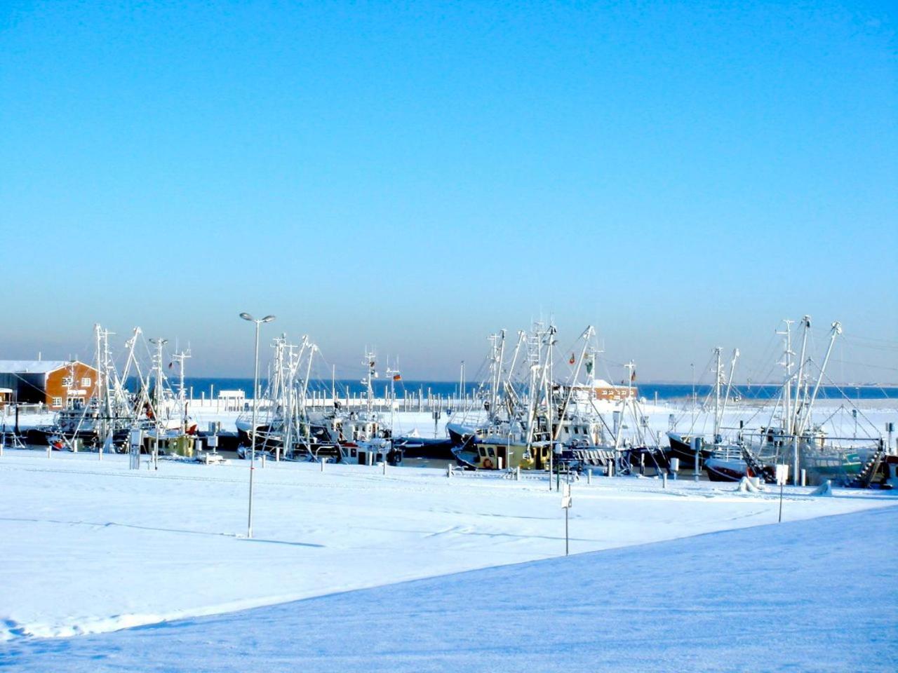 Photo 45