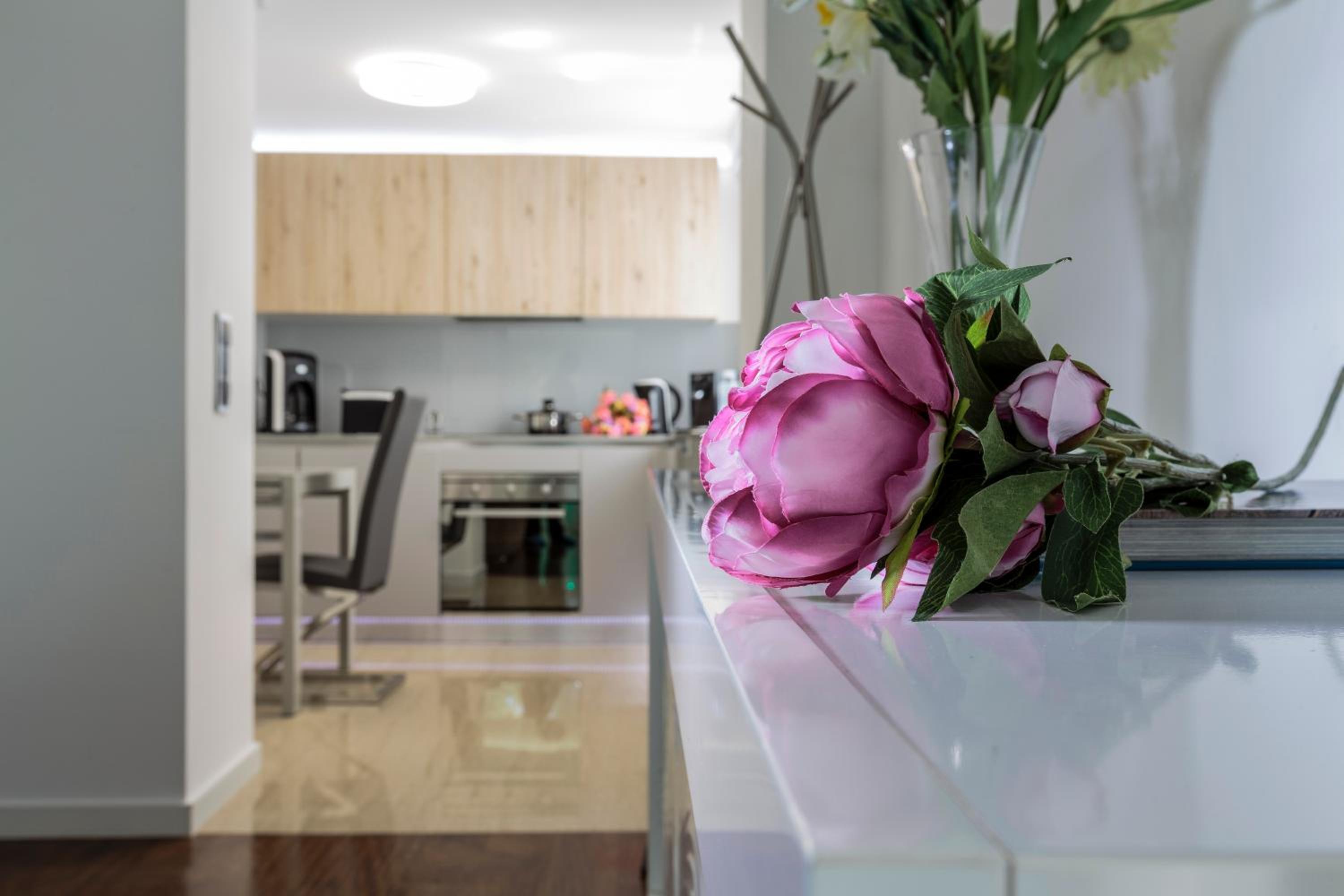 The Queen Luxury Apartments - Villa Vinicia