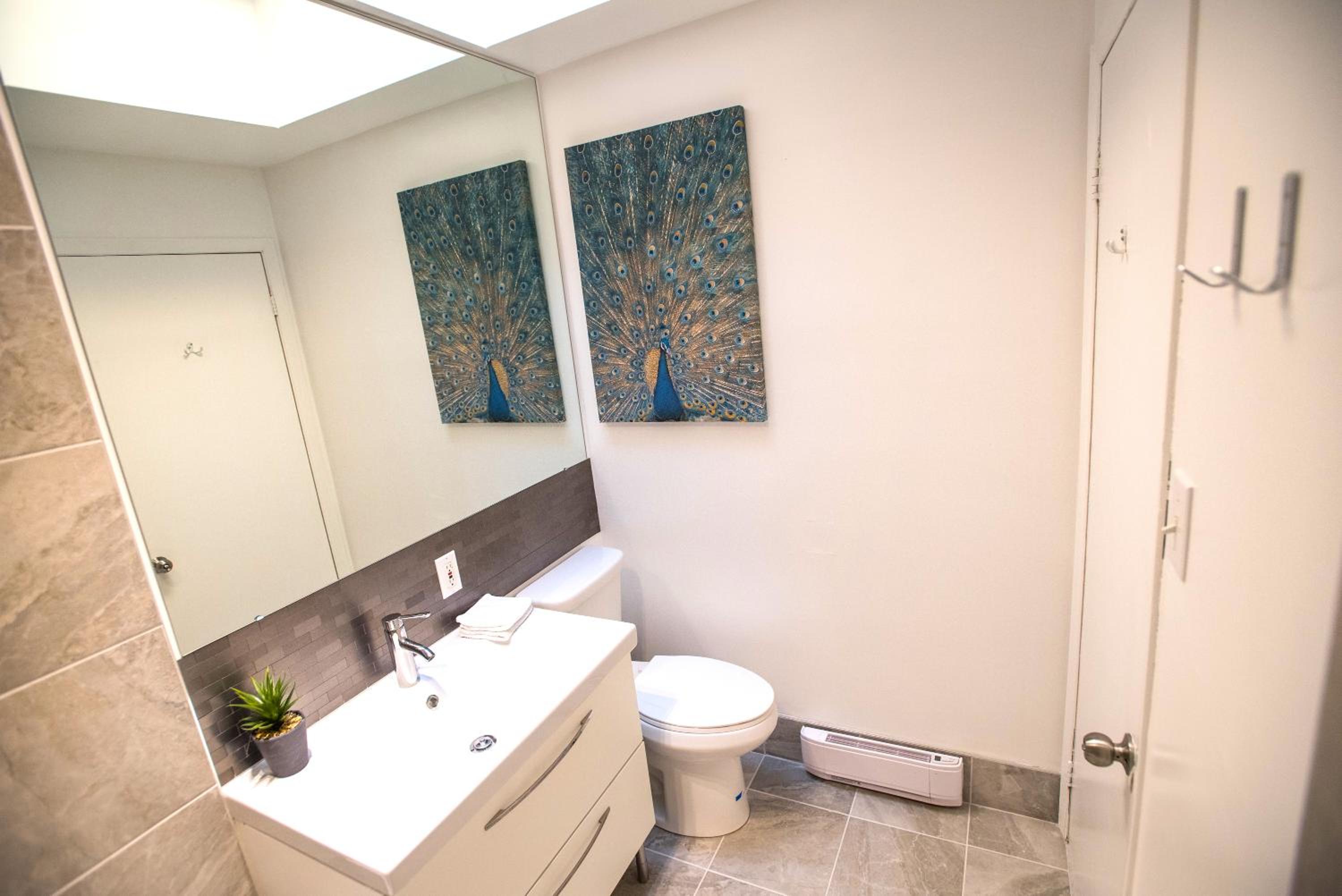 MtlVacationRentals - MTL ZOO