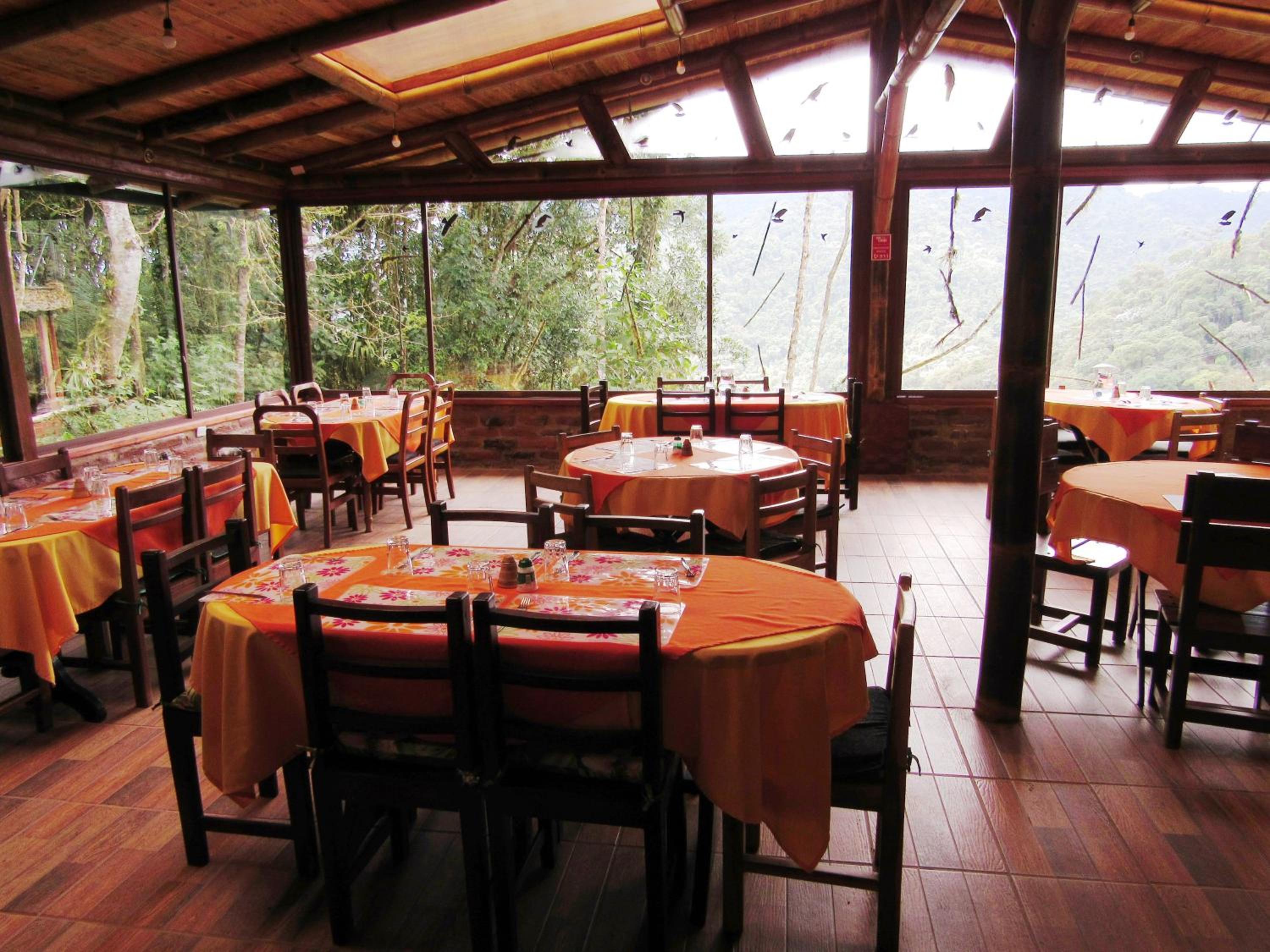 Bellavista Cloud Forest Lodge & Private Protected Area