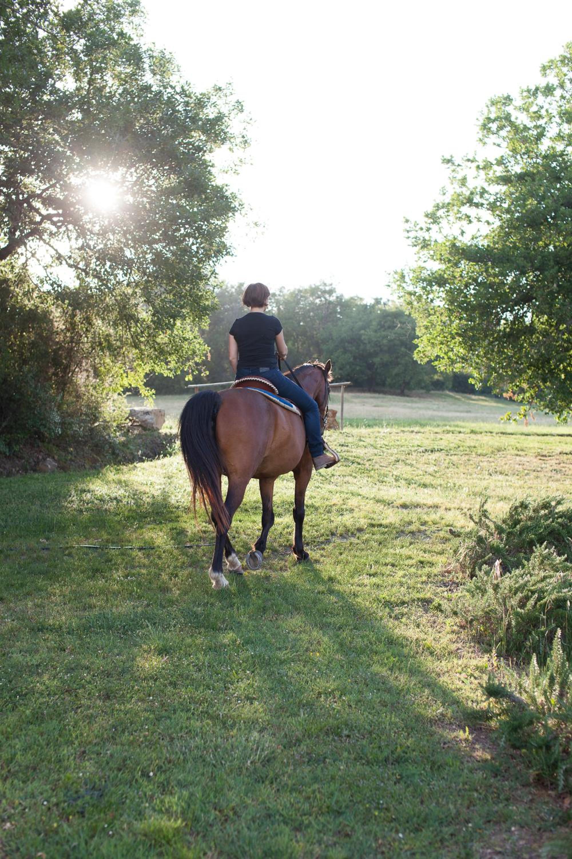 Agriturismo Bio Podere Doganelle