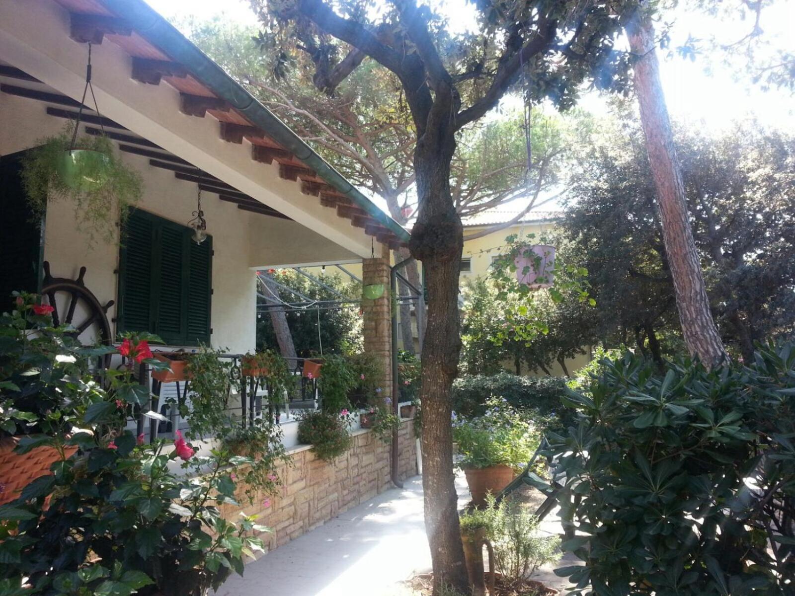 Photo 22
