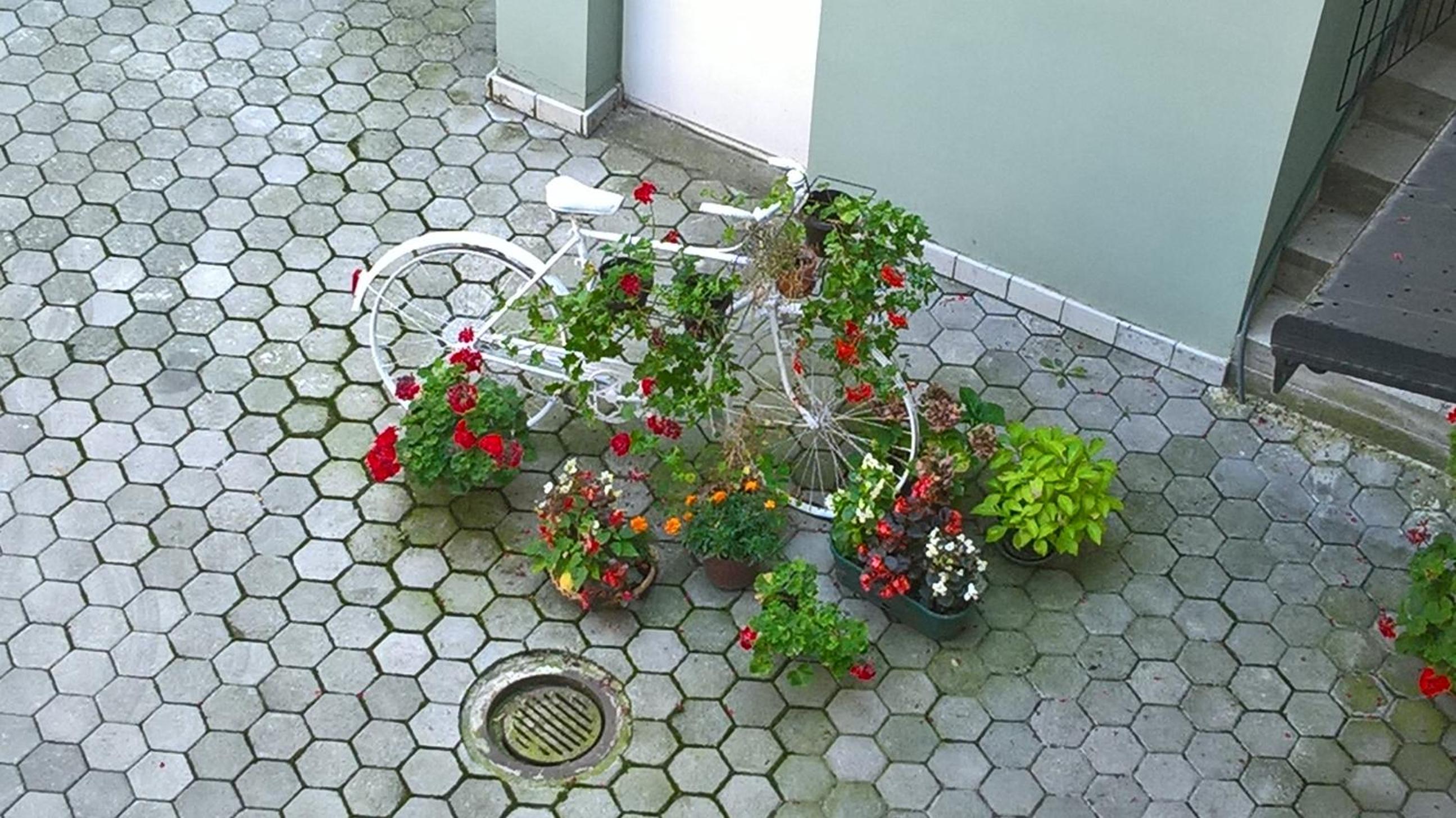 Photo 33