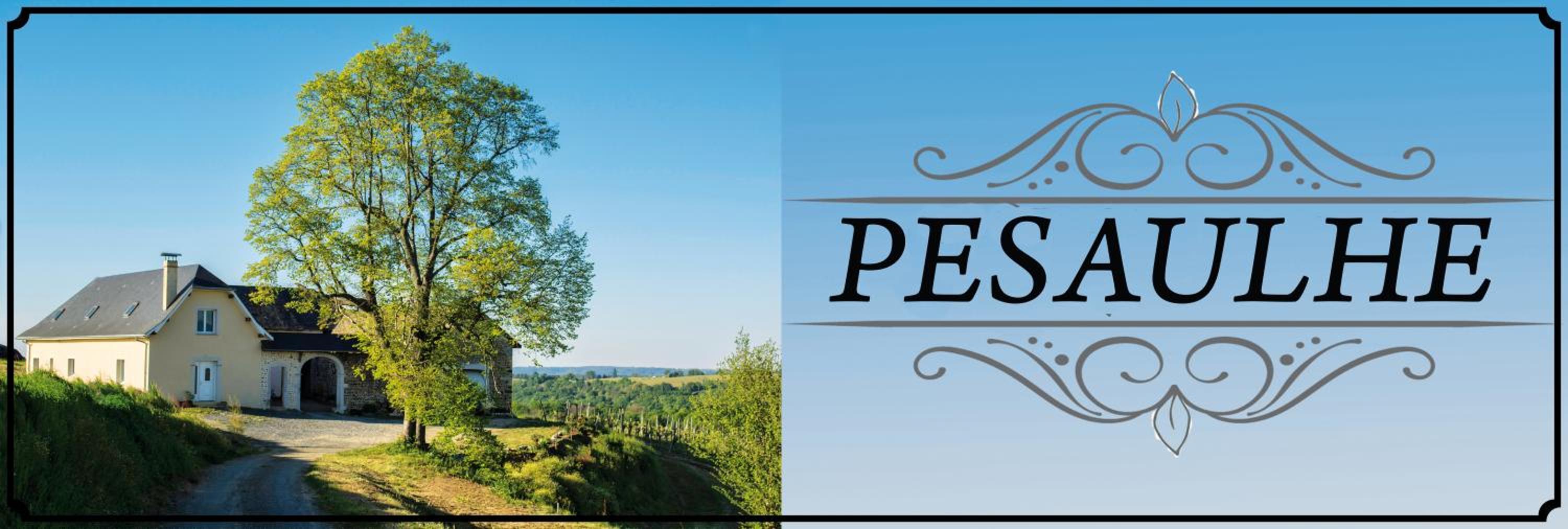Pesaulhé