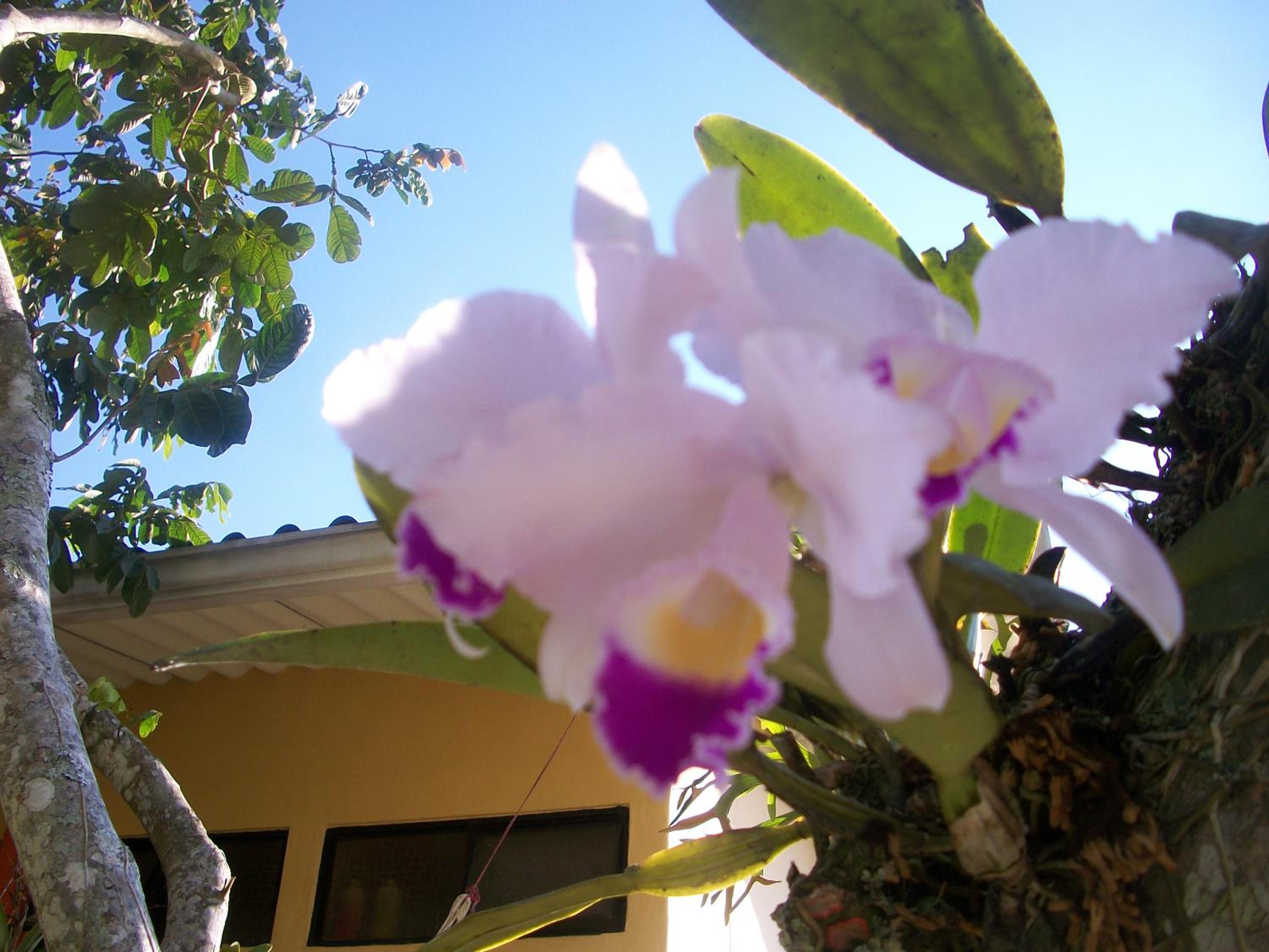 finca Las Margaritas