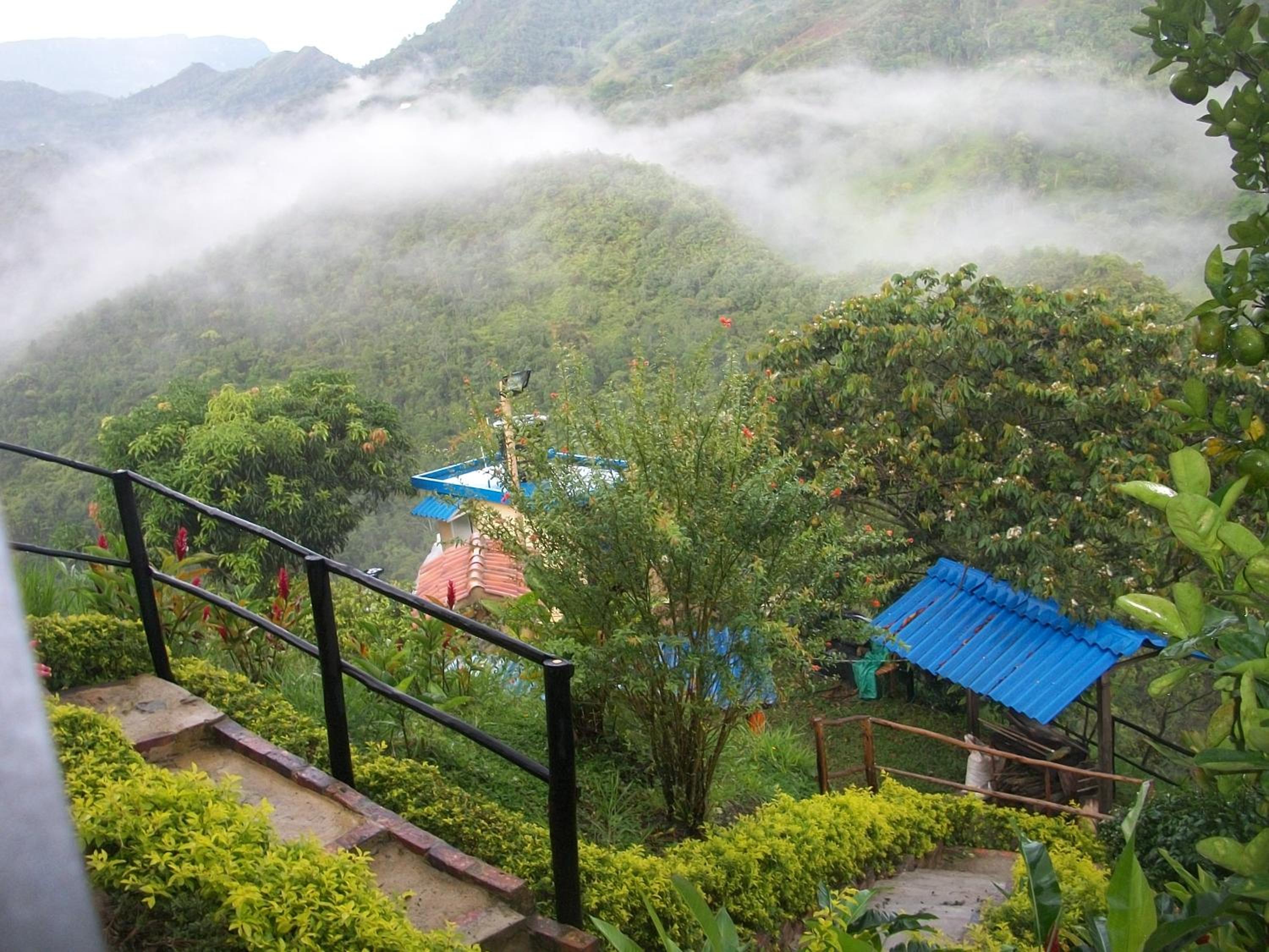 finca Las Margaritas