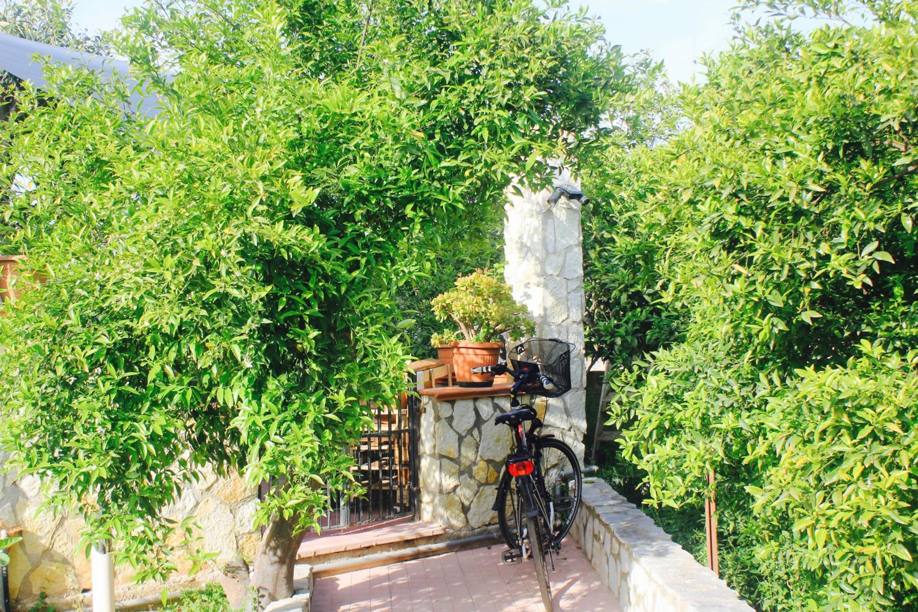 Photo 19