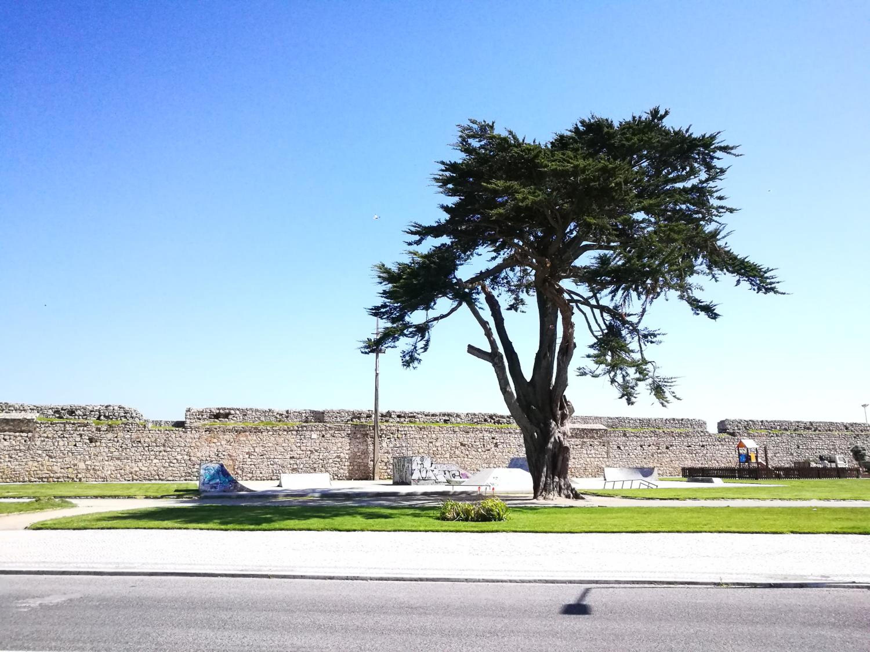 Peniche's Blue & White view 5