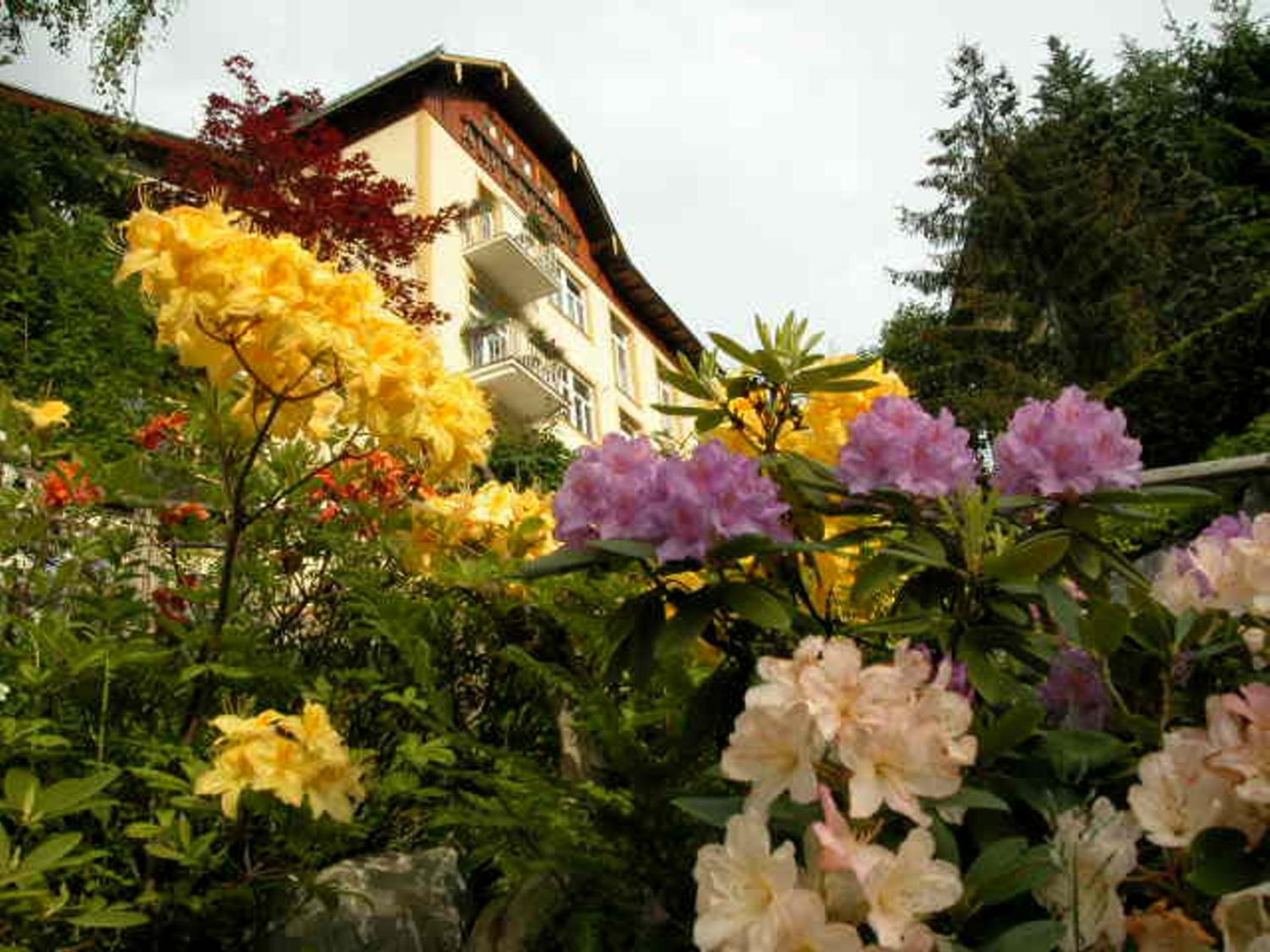 Hotel Alpenblick - Image 1