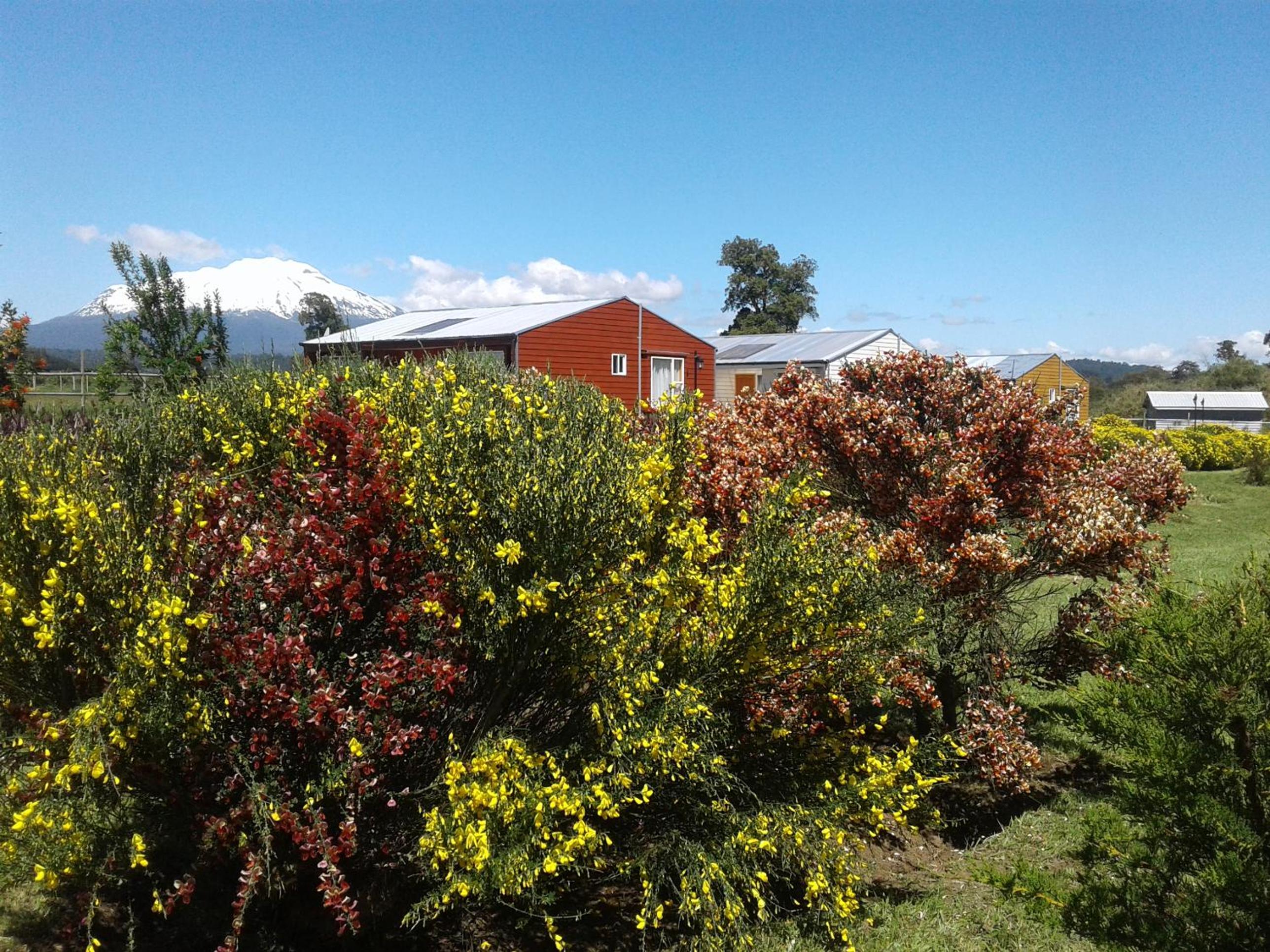 Cabañas Lago Azul