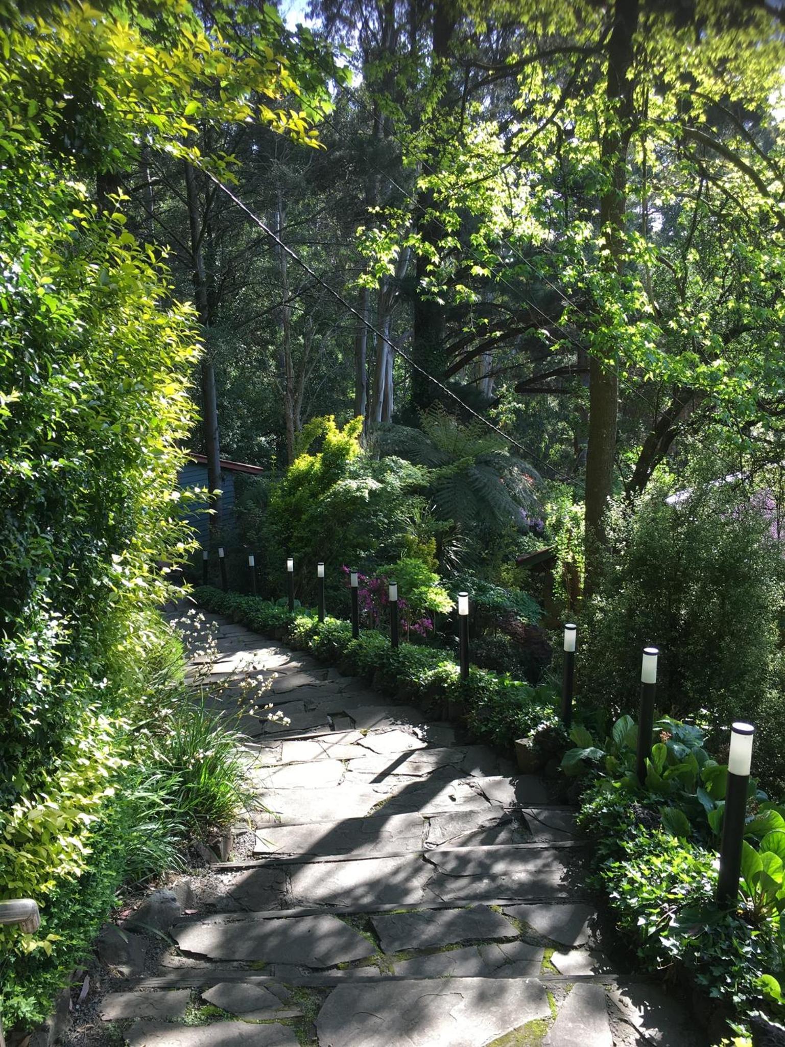 Wild Orchid Olinda Private Luxury Cottage