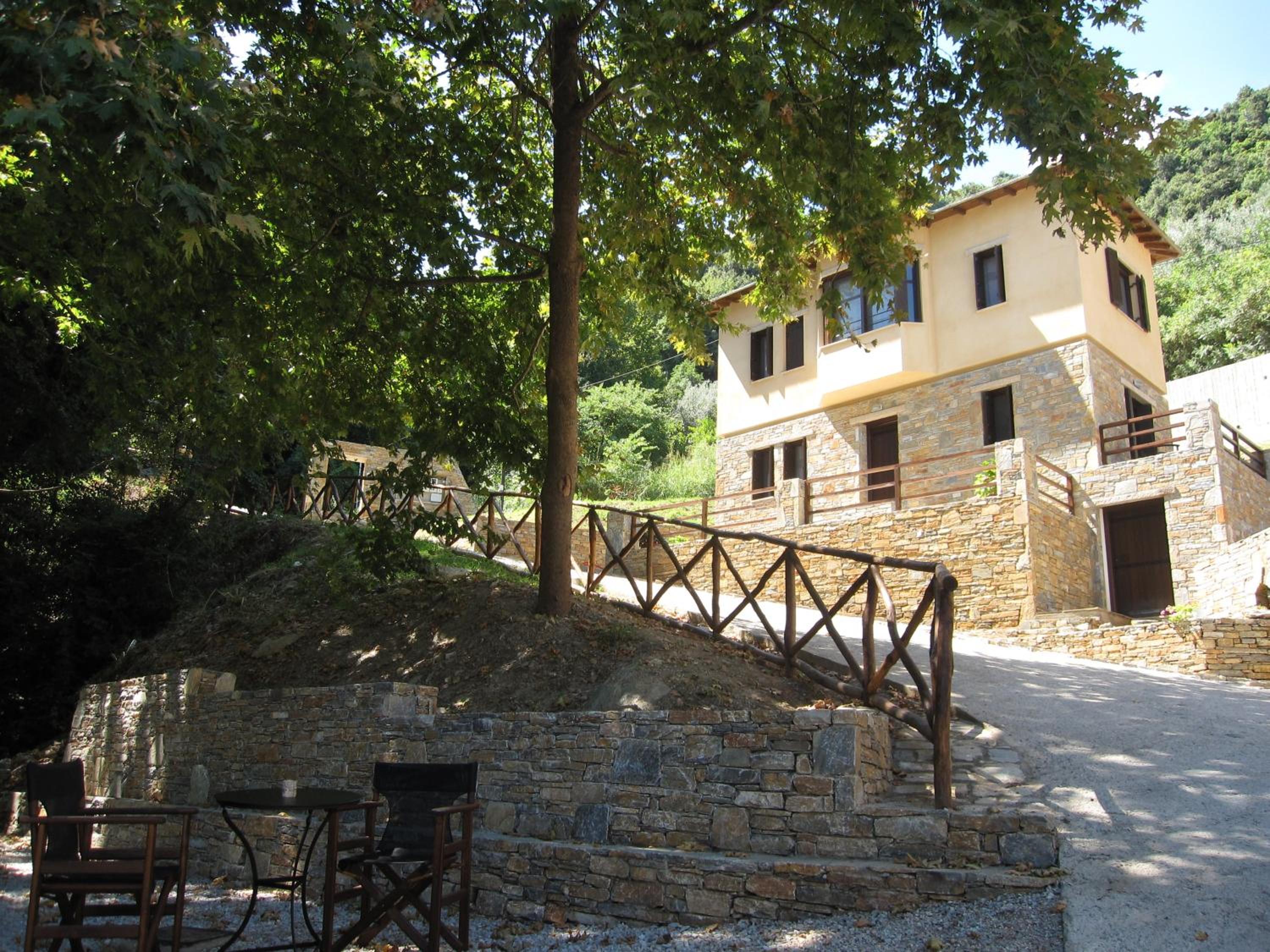 Vergopoulos Oliveyard
