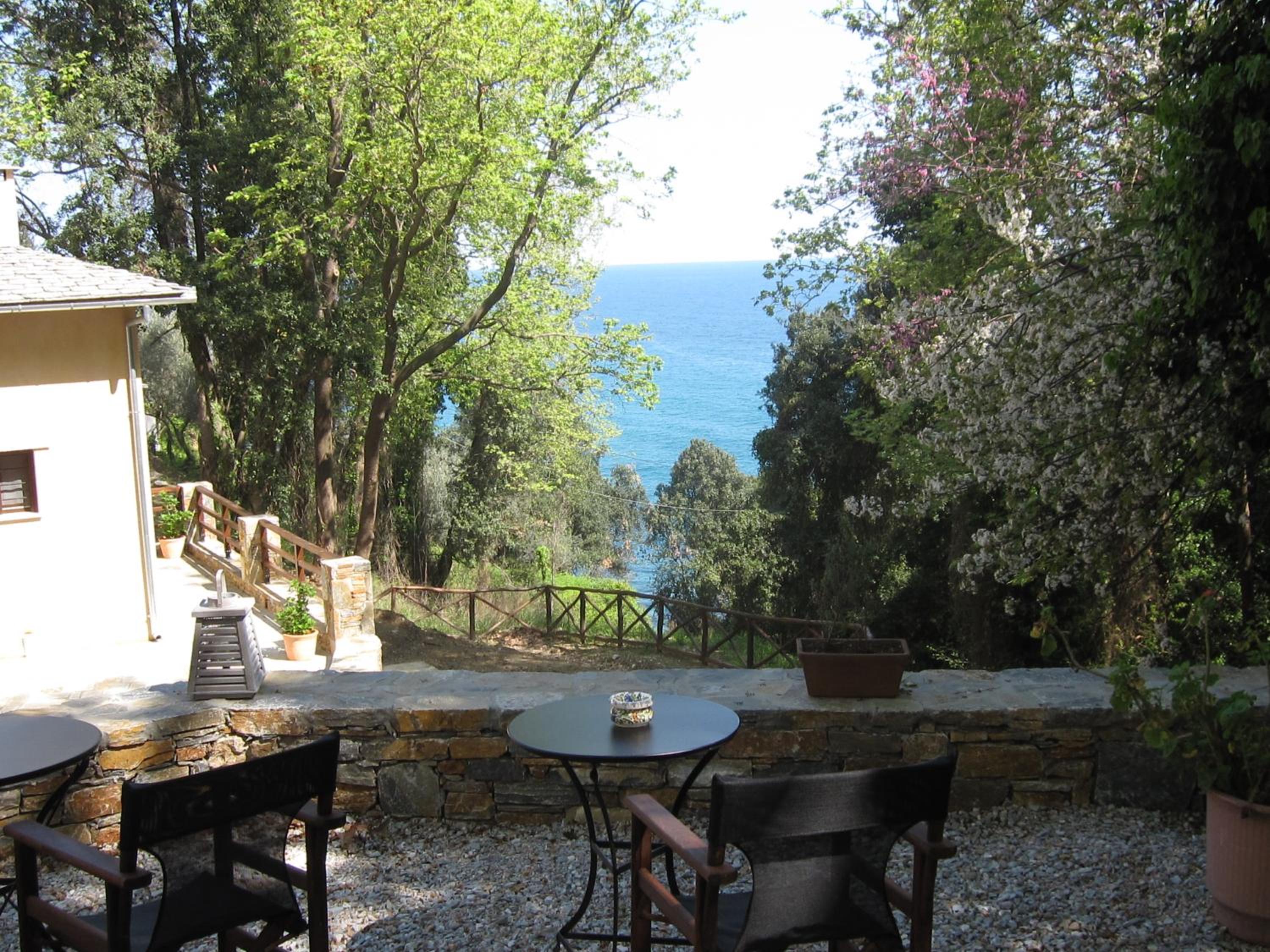 Vergopoulos Oliveyard
