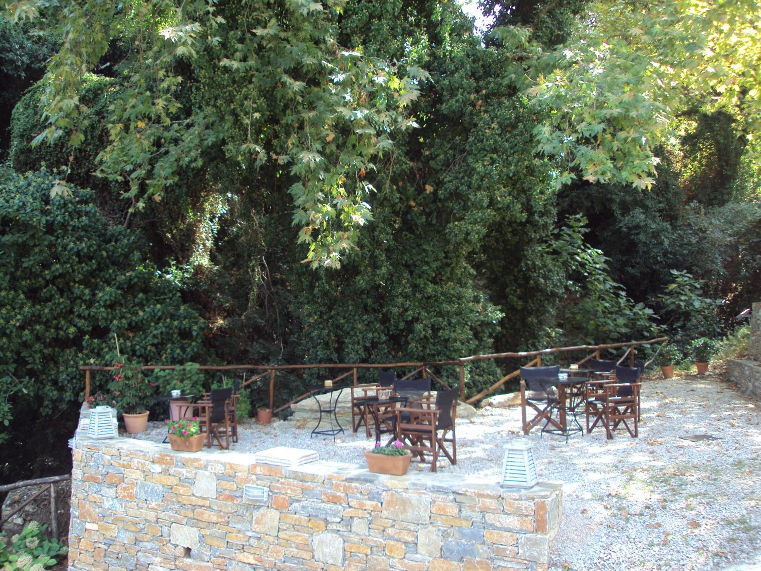 Vergopoulos Oliveyard