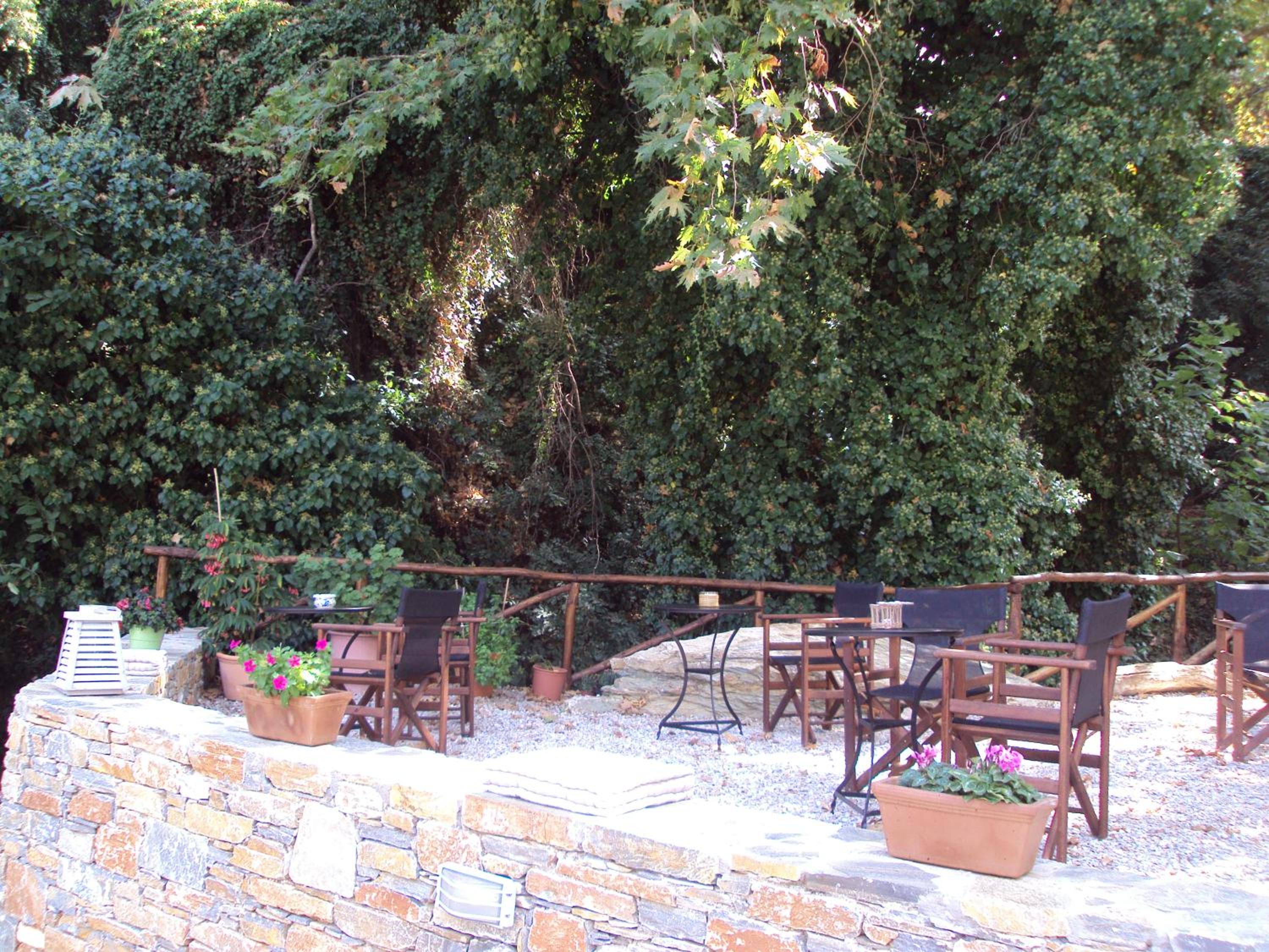 Vergopoulos Oliveyard