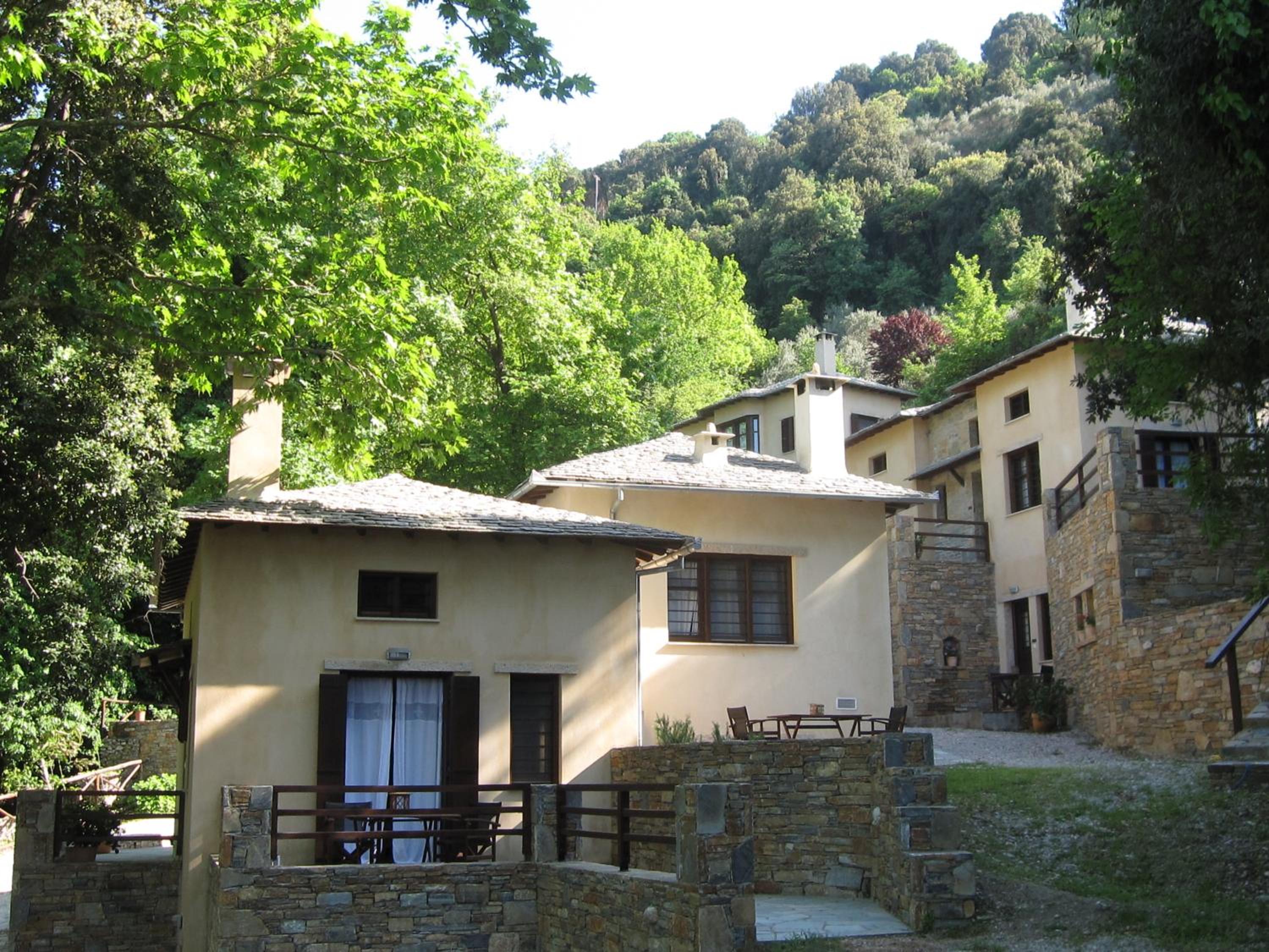Vergopoulos Oliveyard