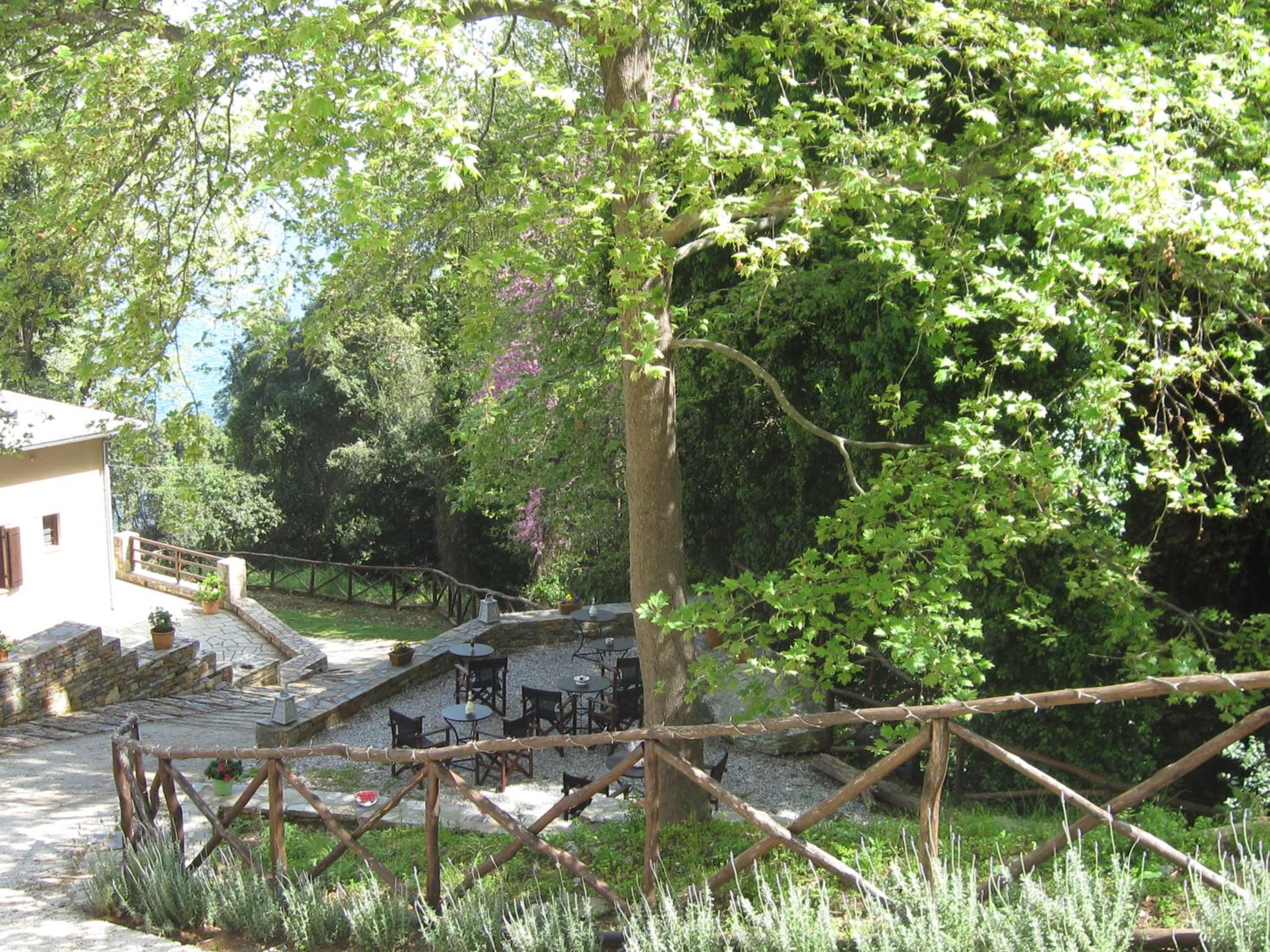Vergopoulos Oliveyard