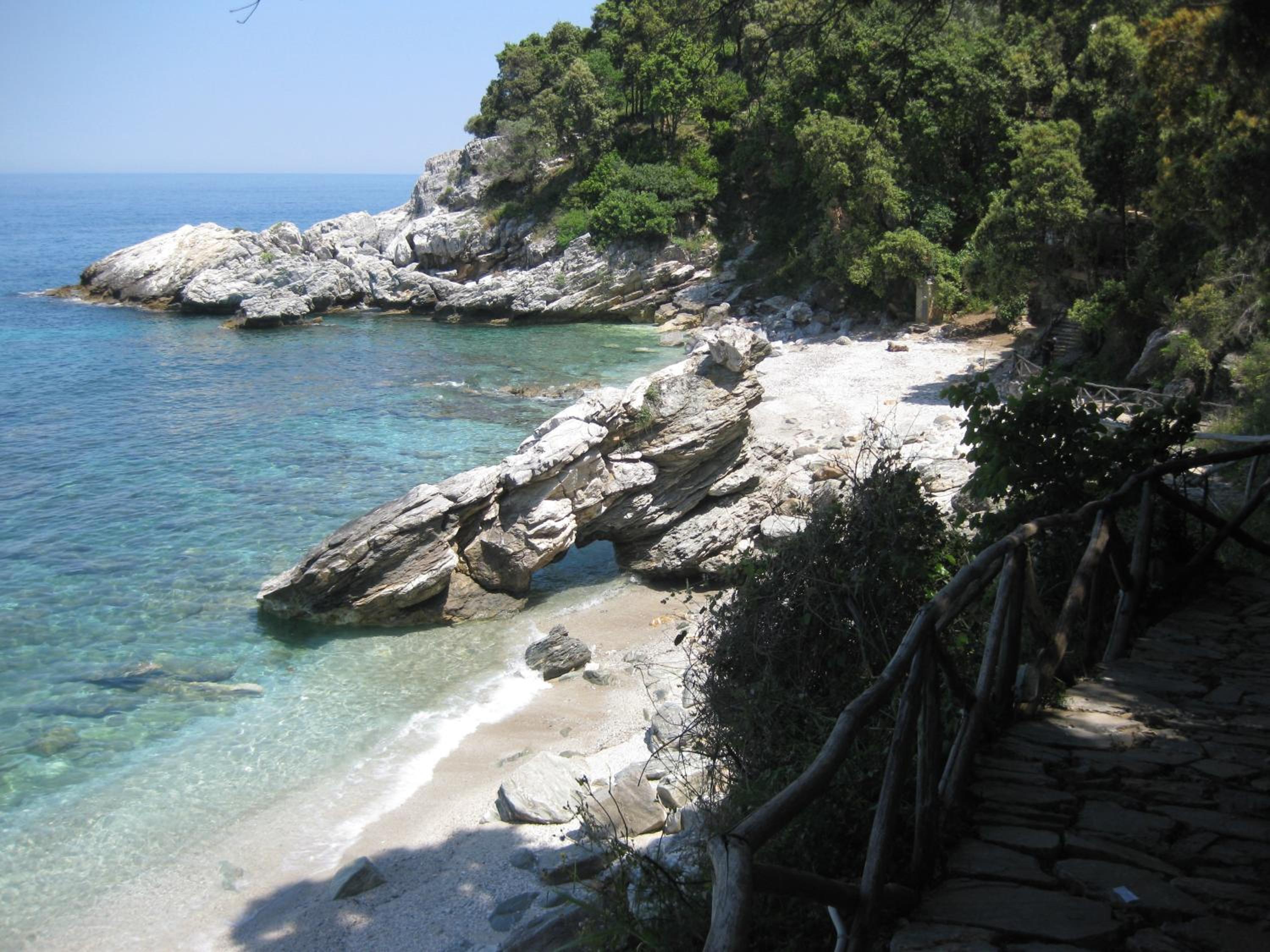 Vergopoulos Oliveyard