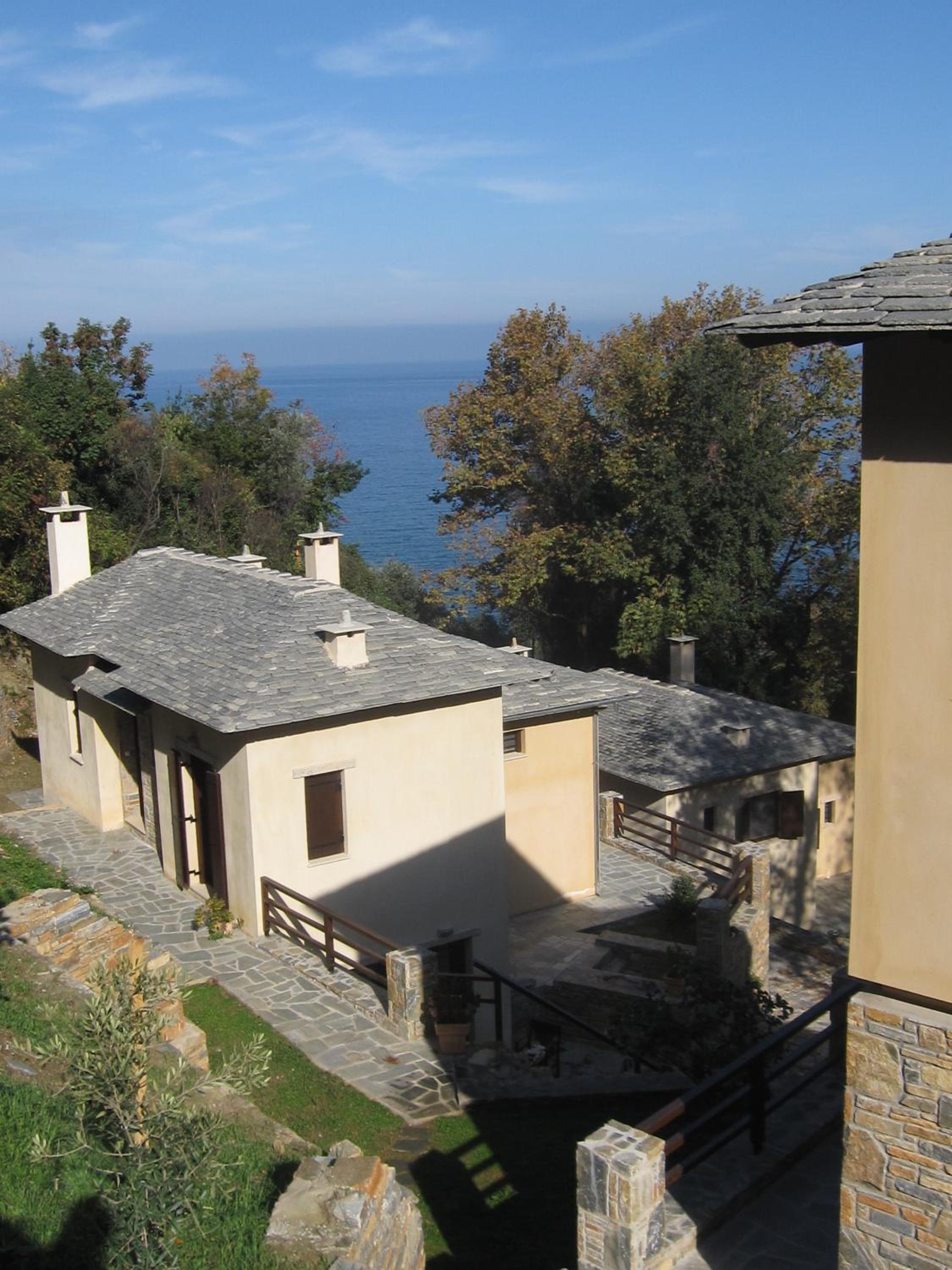 Vergopoulos Oliveyard