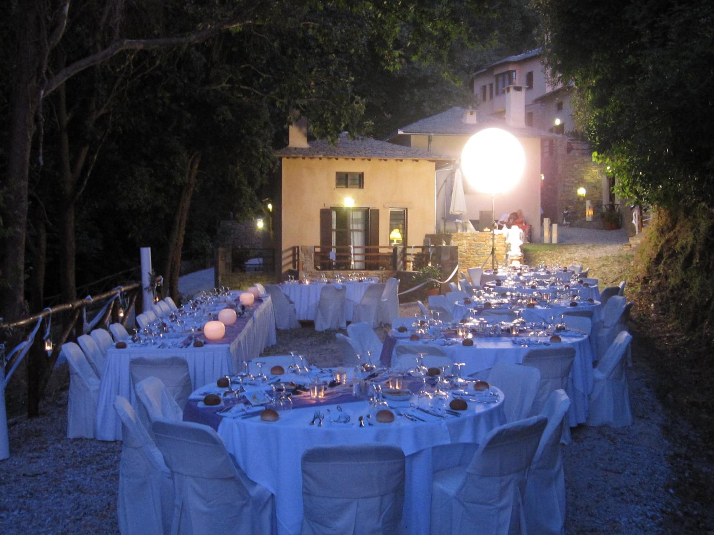Vergopoulos Oliveyard