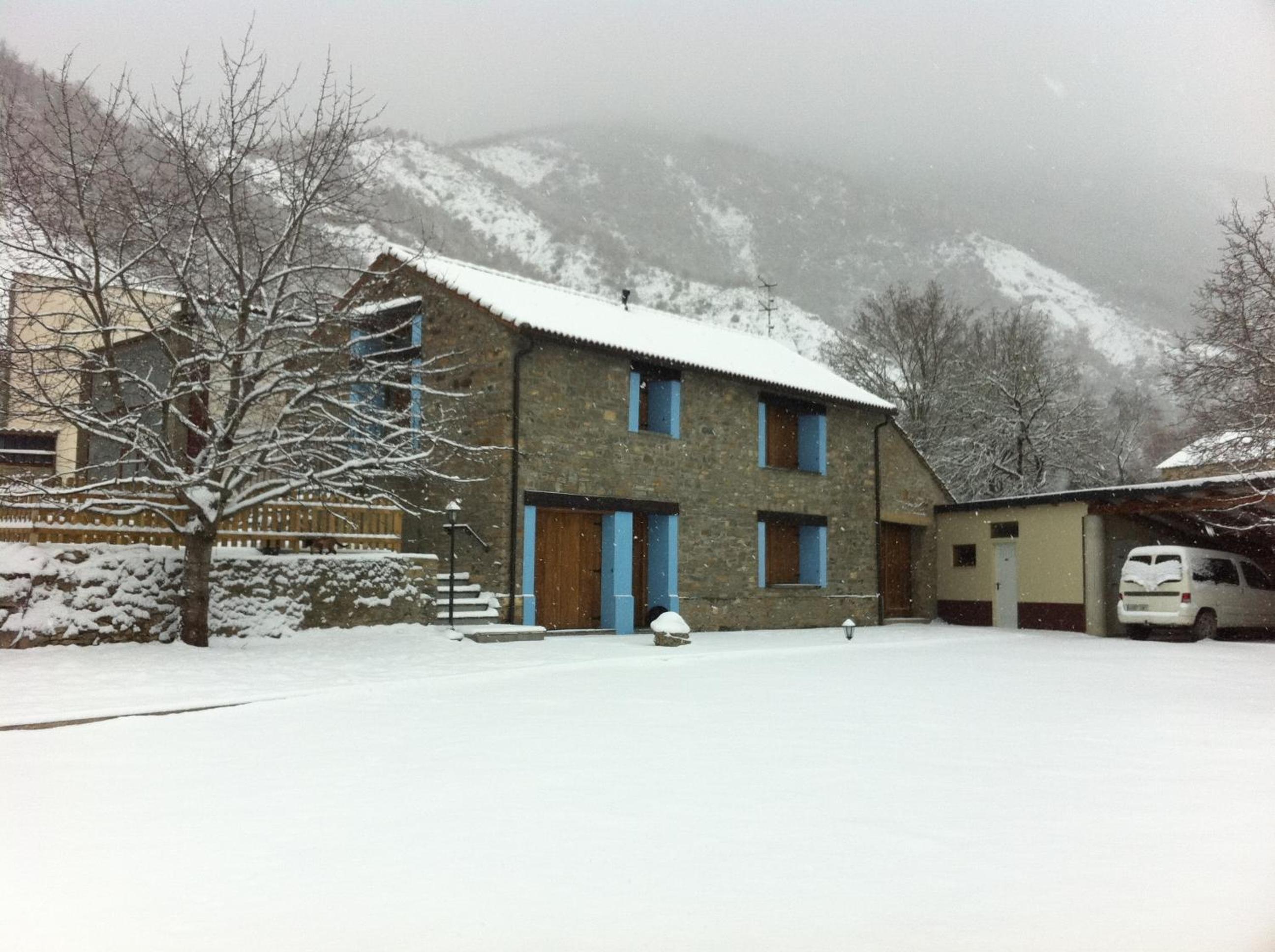 Photo 6